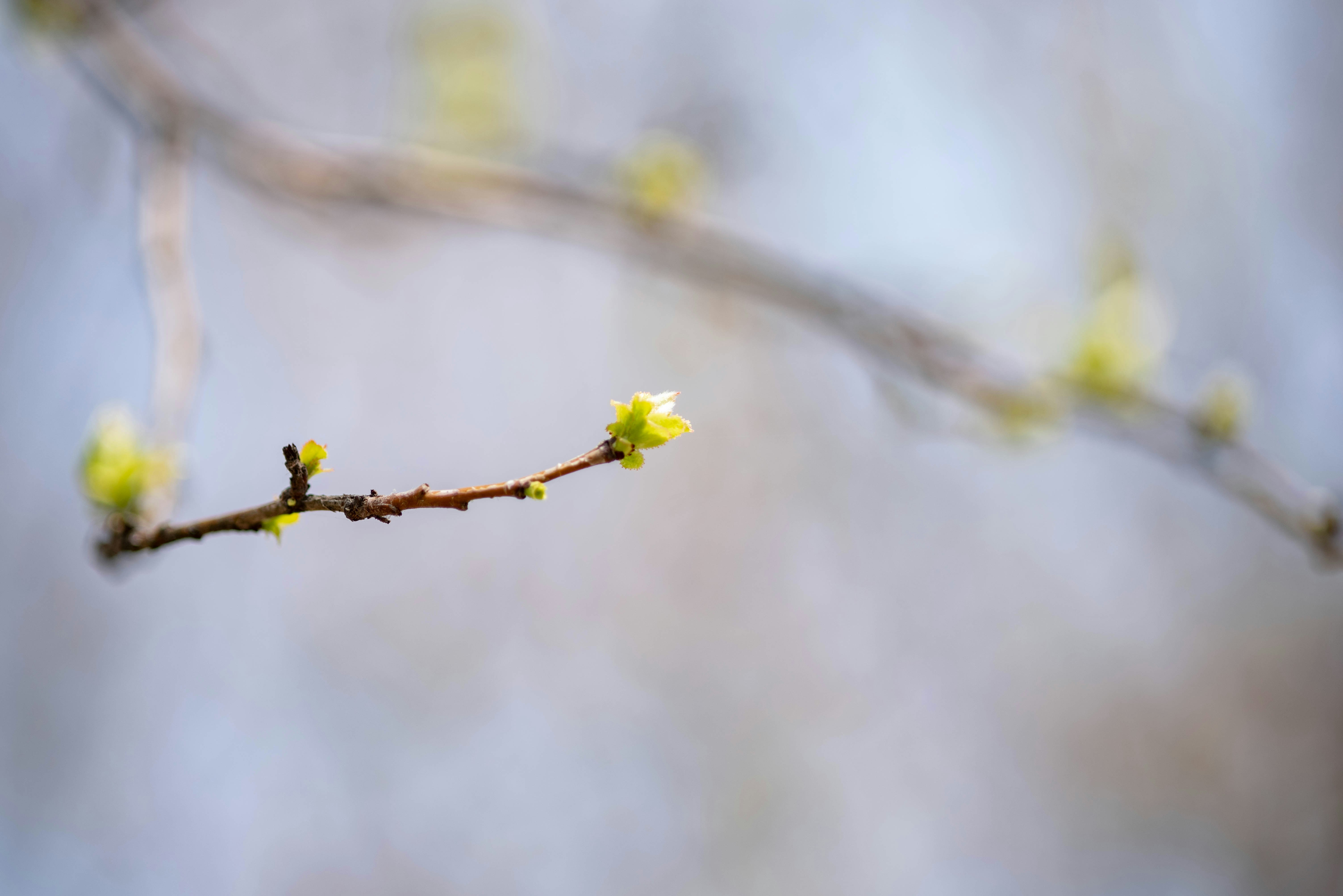 Photo by rays_pickpic