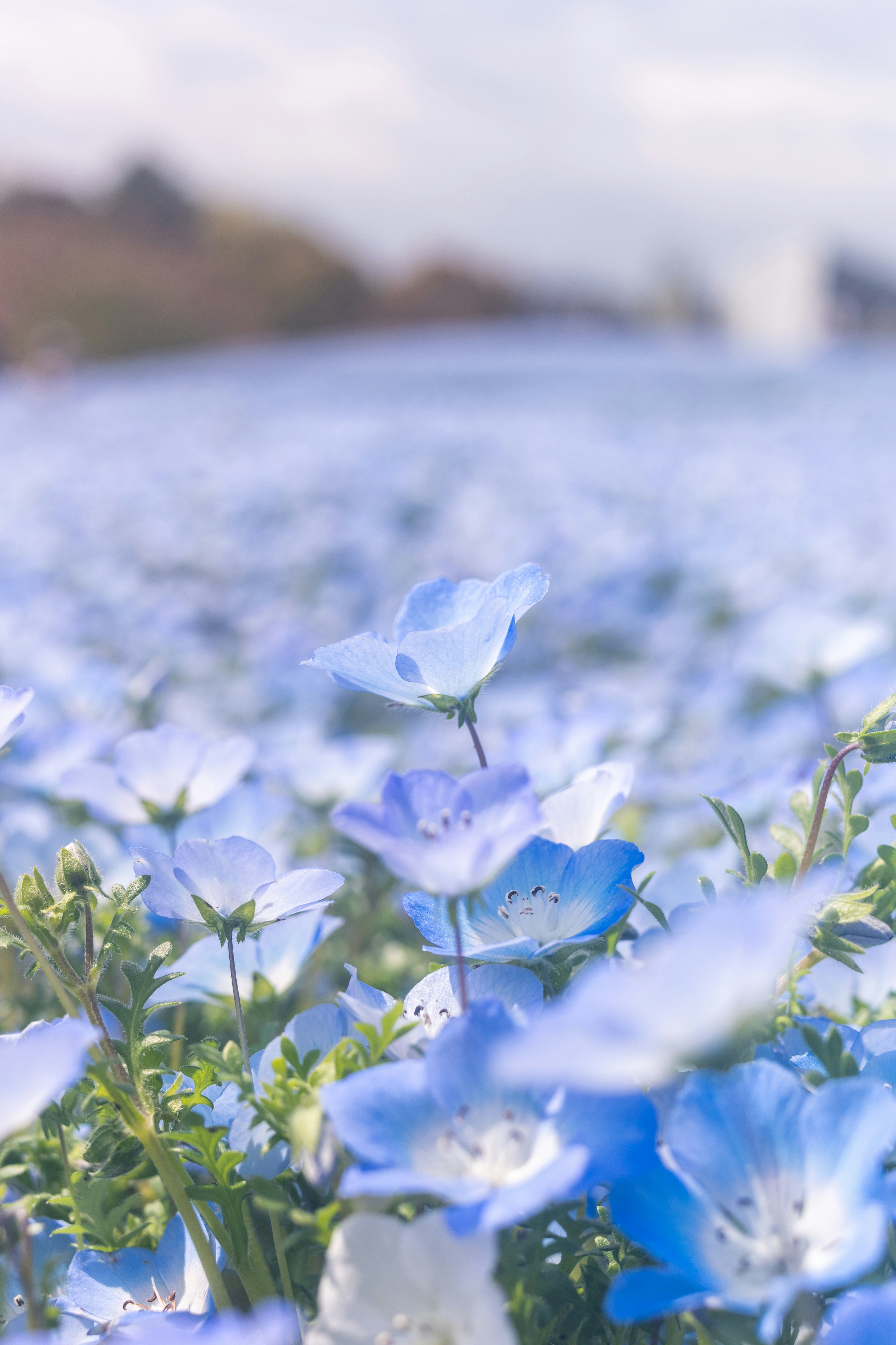 photo-1712992275906-