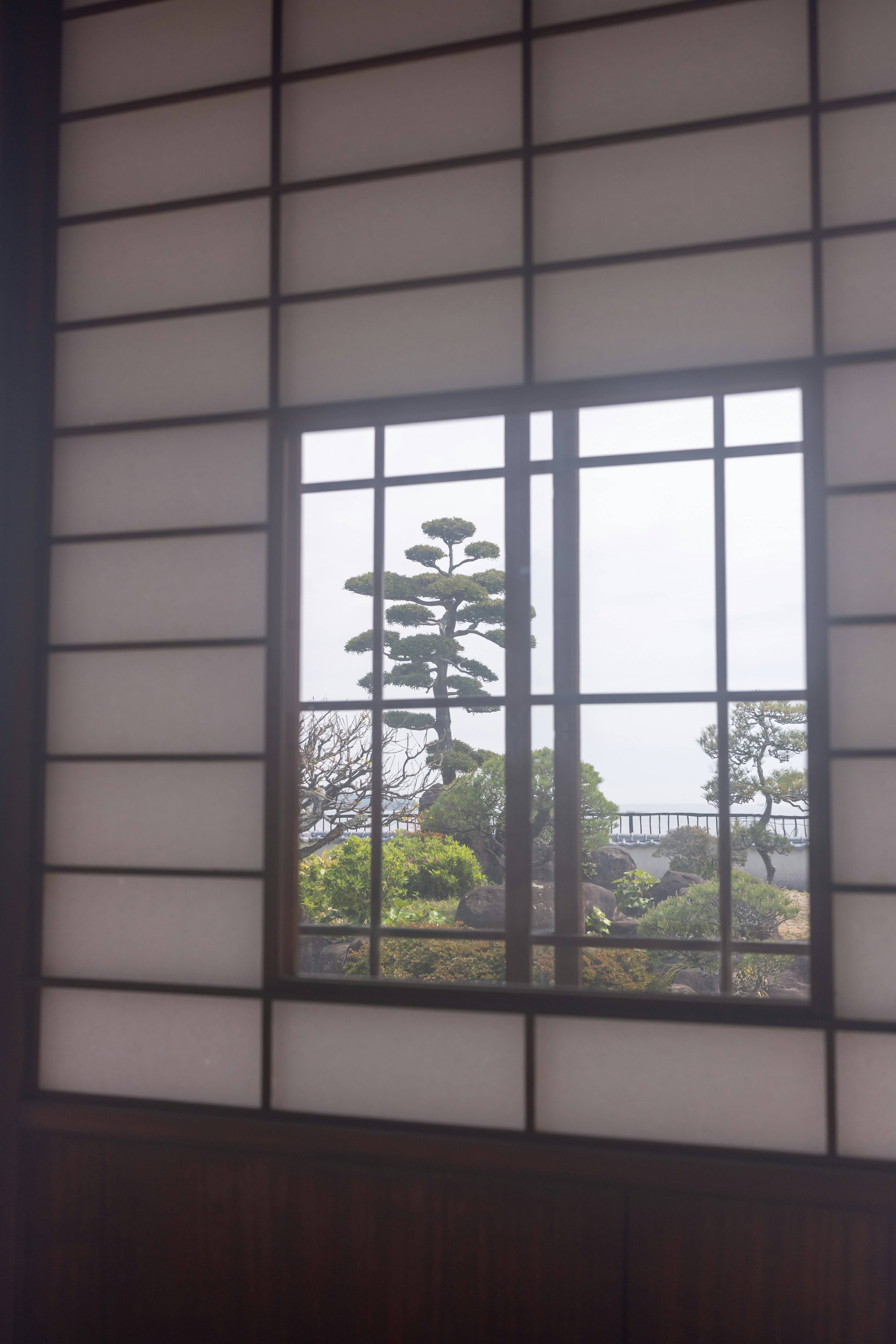 a window with a view of a tree outside