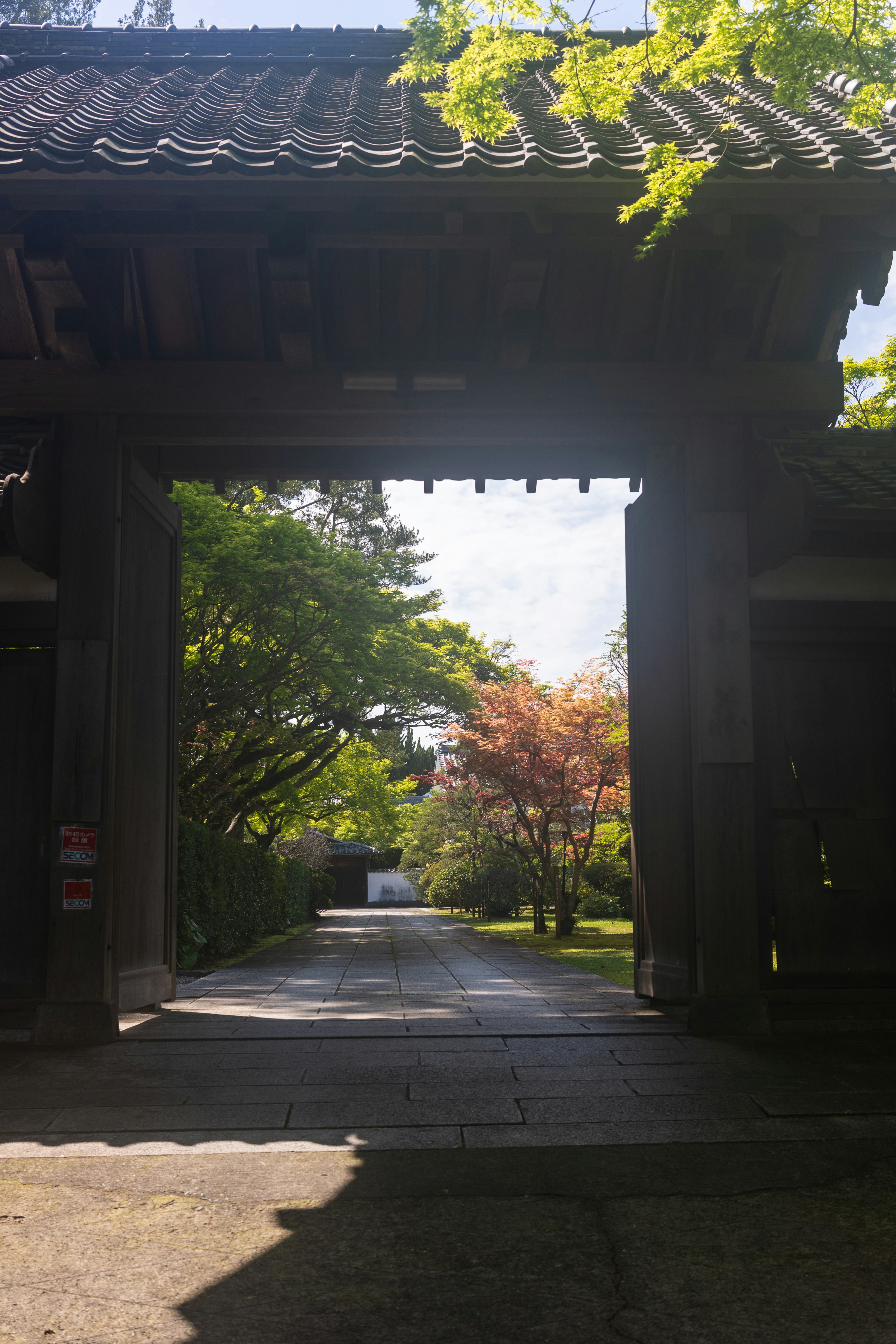 Photo by pafuxu