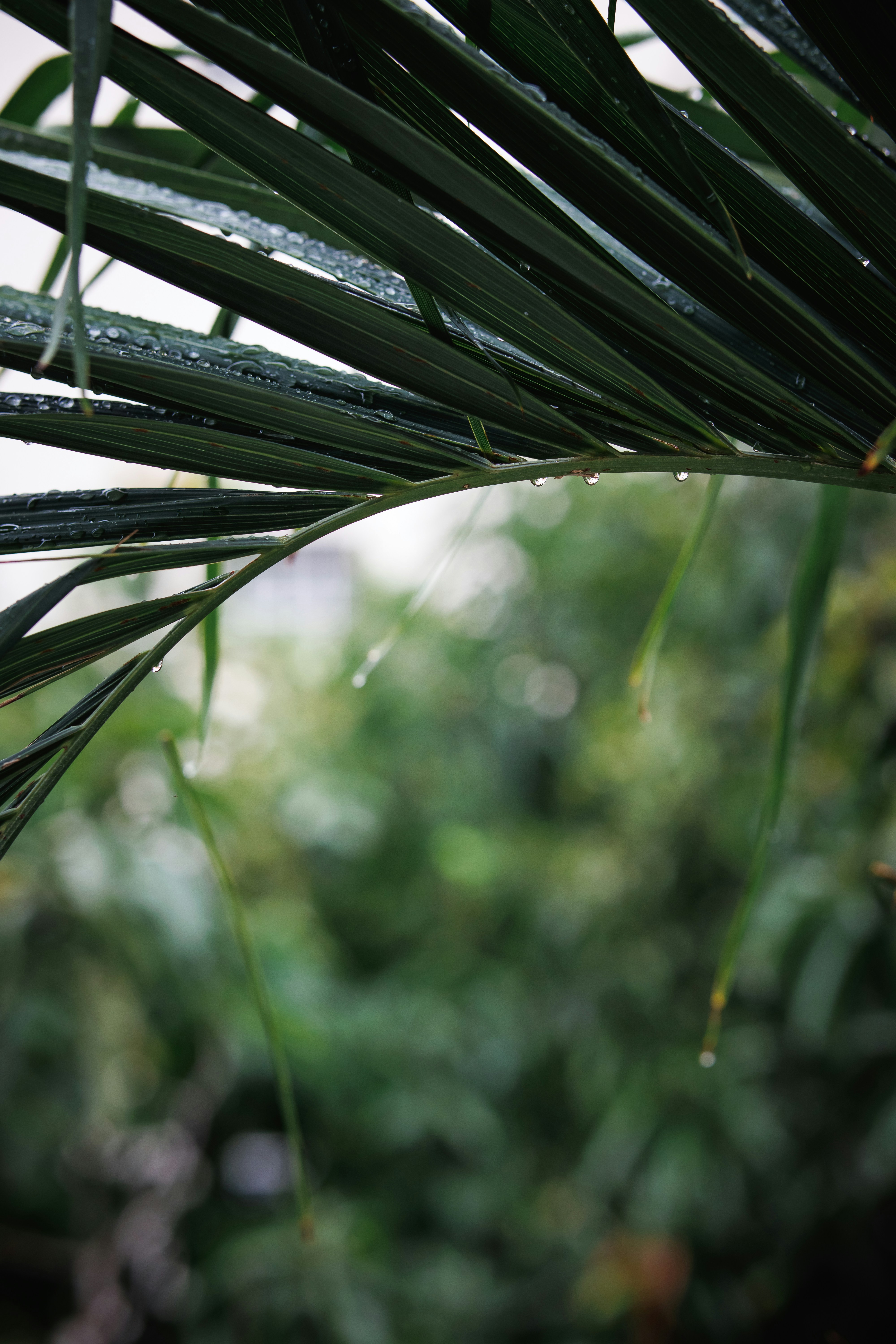 Photo by jacekjaniczak