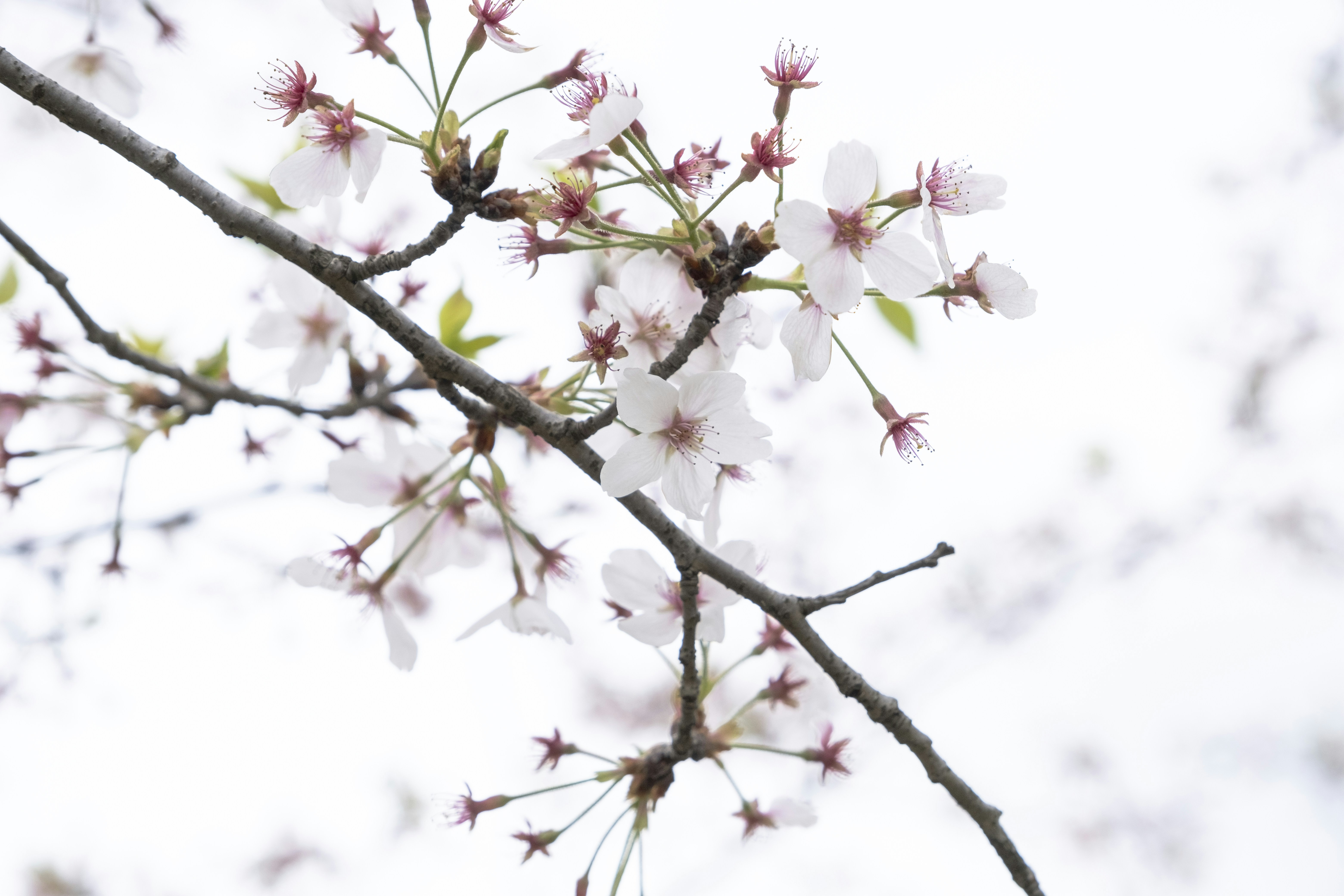 Photo by wenhao_ruan