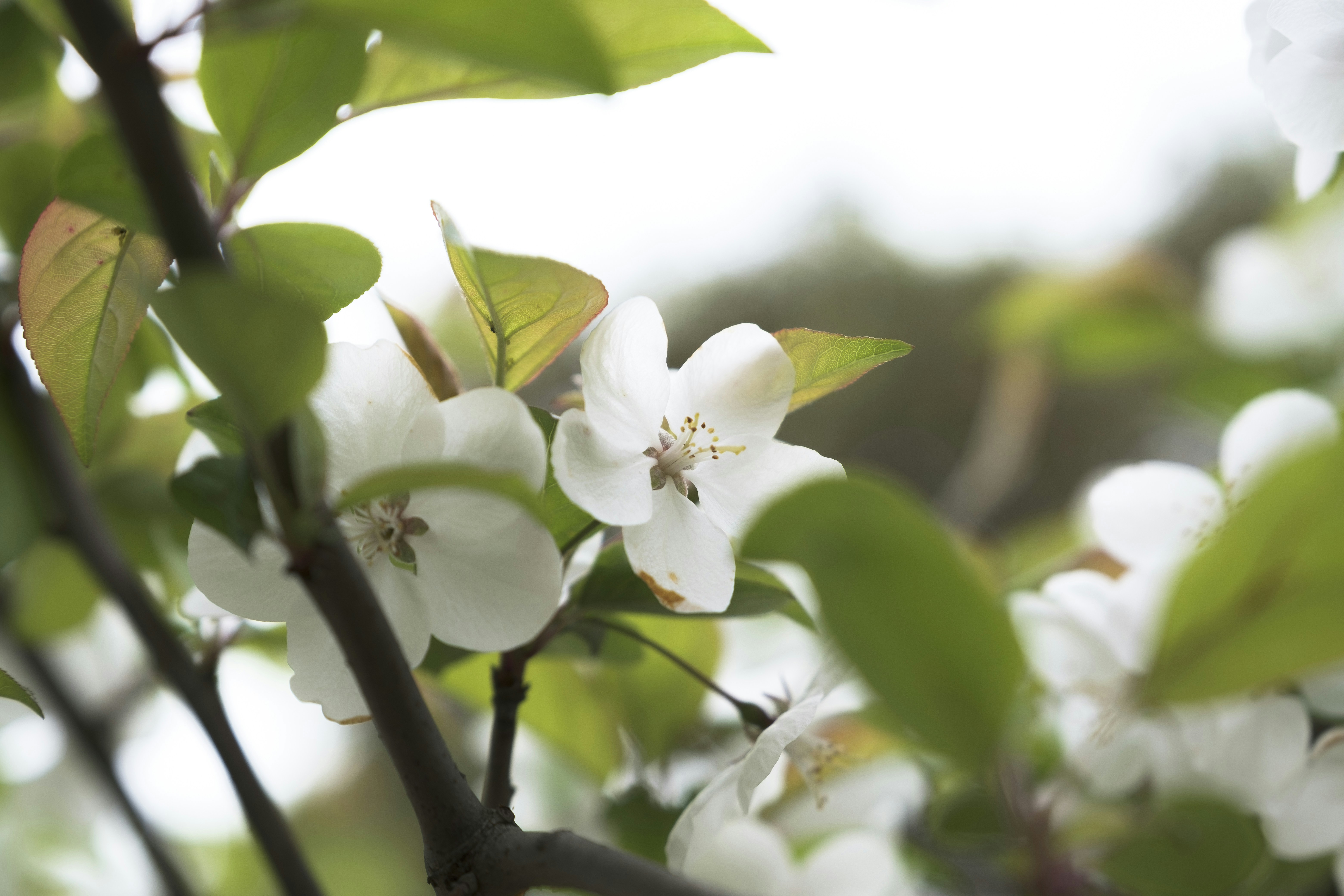 Photo by wenhao_ruan