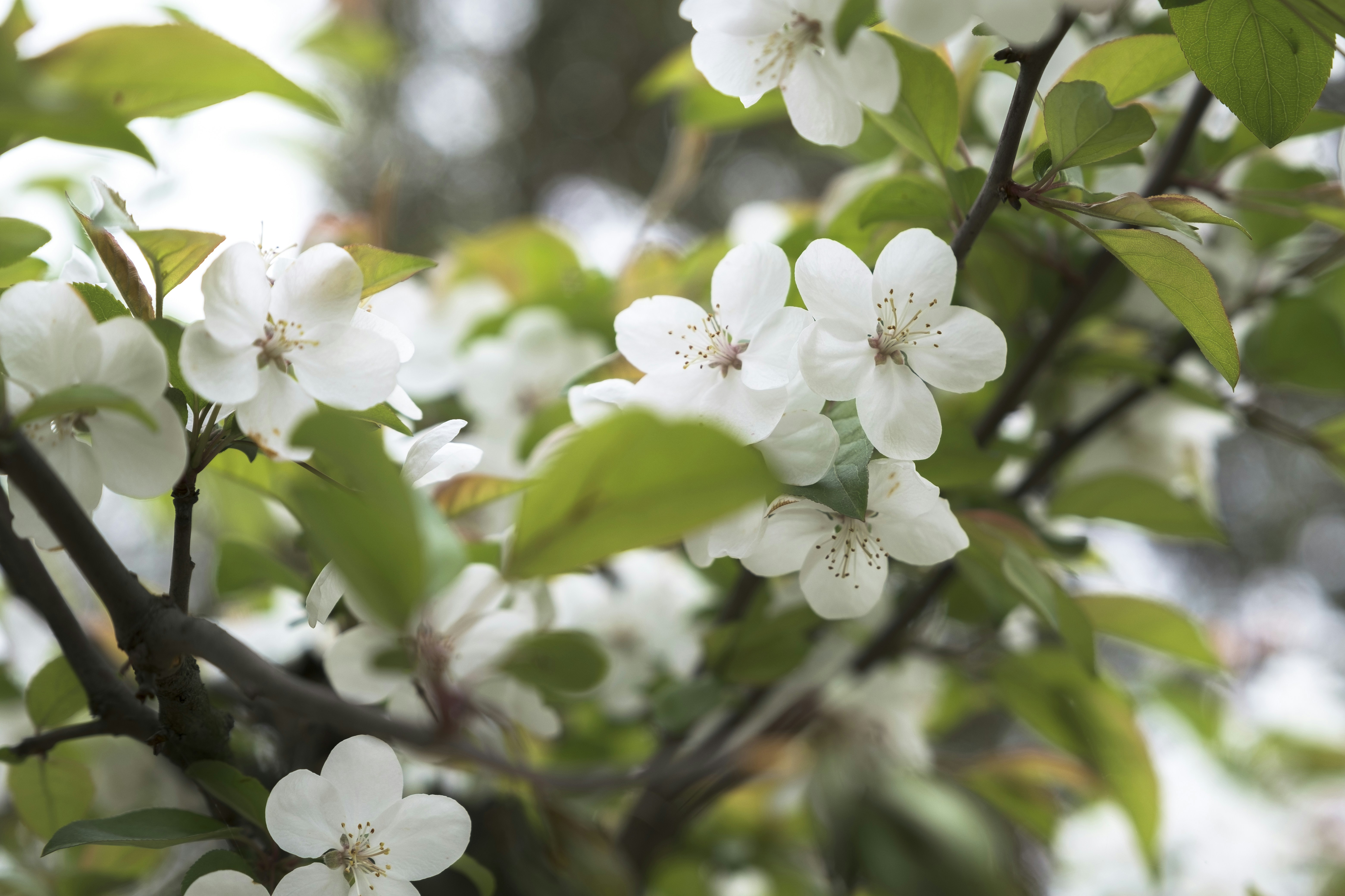 Photo by wenhao_ruan