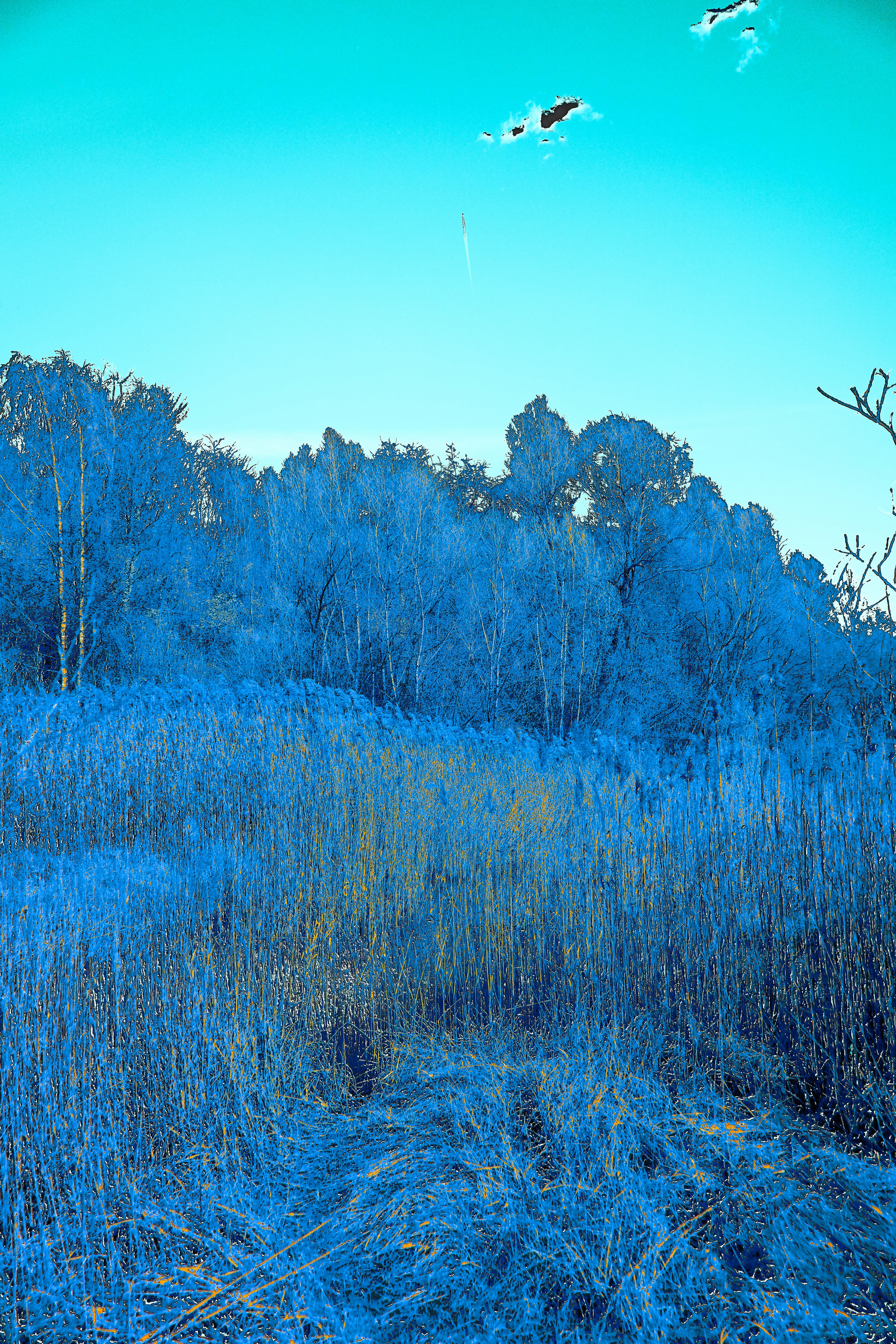 Photo by wolfgang_hasselmann