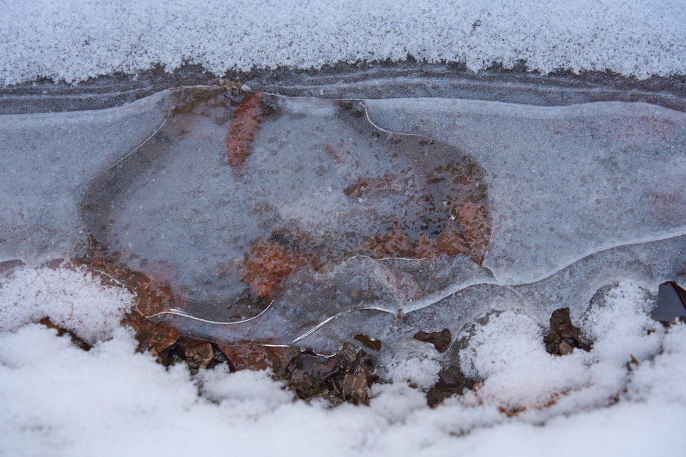 地面に積もった雪と氷の接写