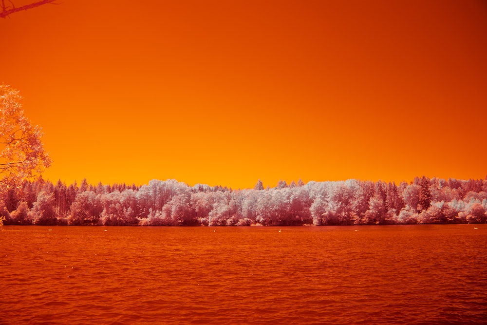 ein orangefarbener Himmel über einem Gewässer