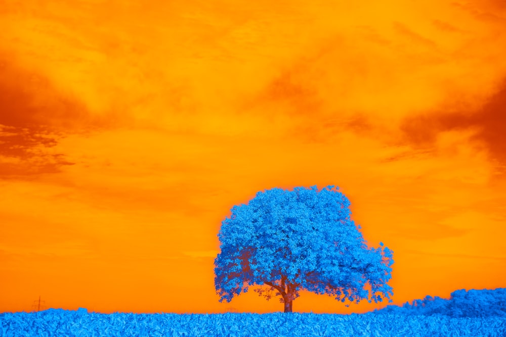a blue tree in a field with a red sky in the background