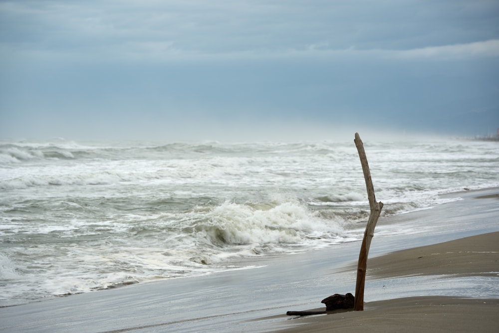 a wooden pole sticking out of the sand on a beach