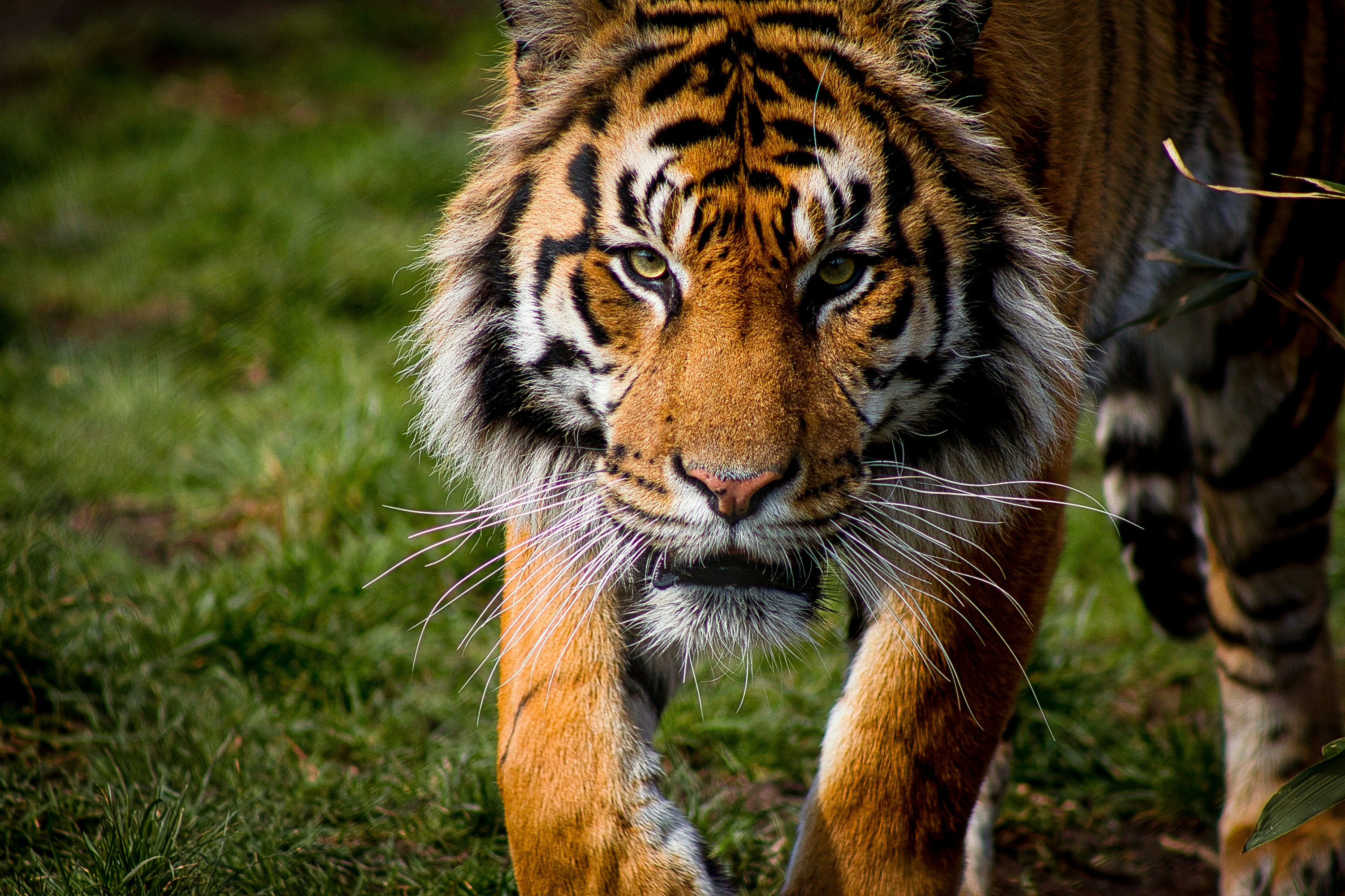 The Quiet Communicator (image credits: unsplash)