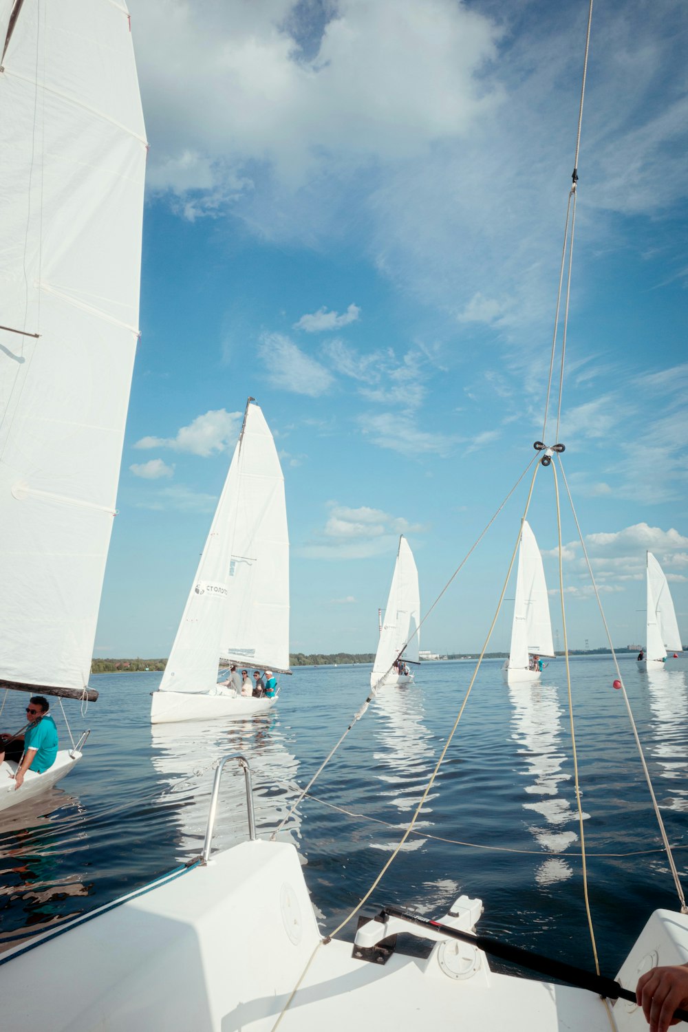 a group of sailboats sailing in the ocean