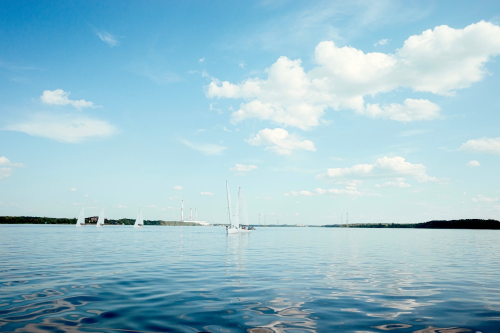 a body of water that has some boats in it