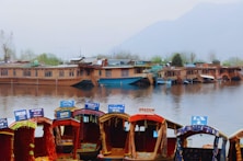 a bunch of boats that are sitting in the water