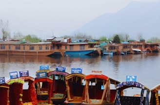a bunch of boats that are sitting in the water