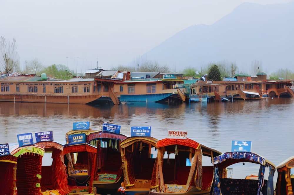 un tas de bateaux qui sont assis dans l’eau