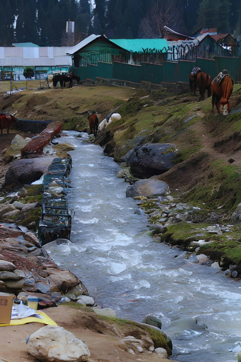 a stream of water with horses in the background