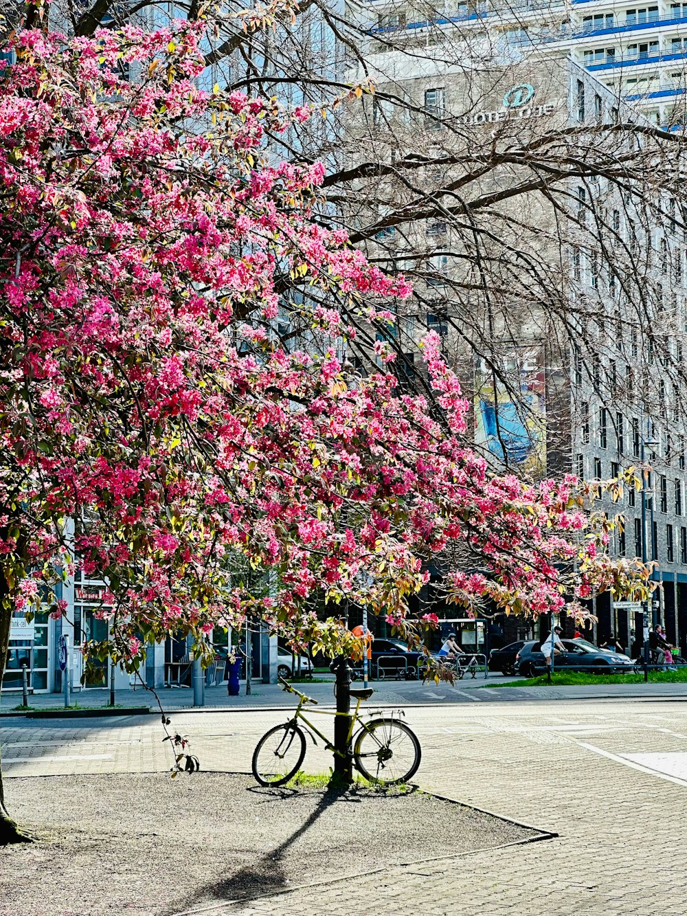 a bike parked next to a tree with pink flowers