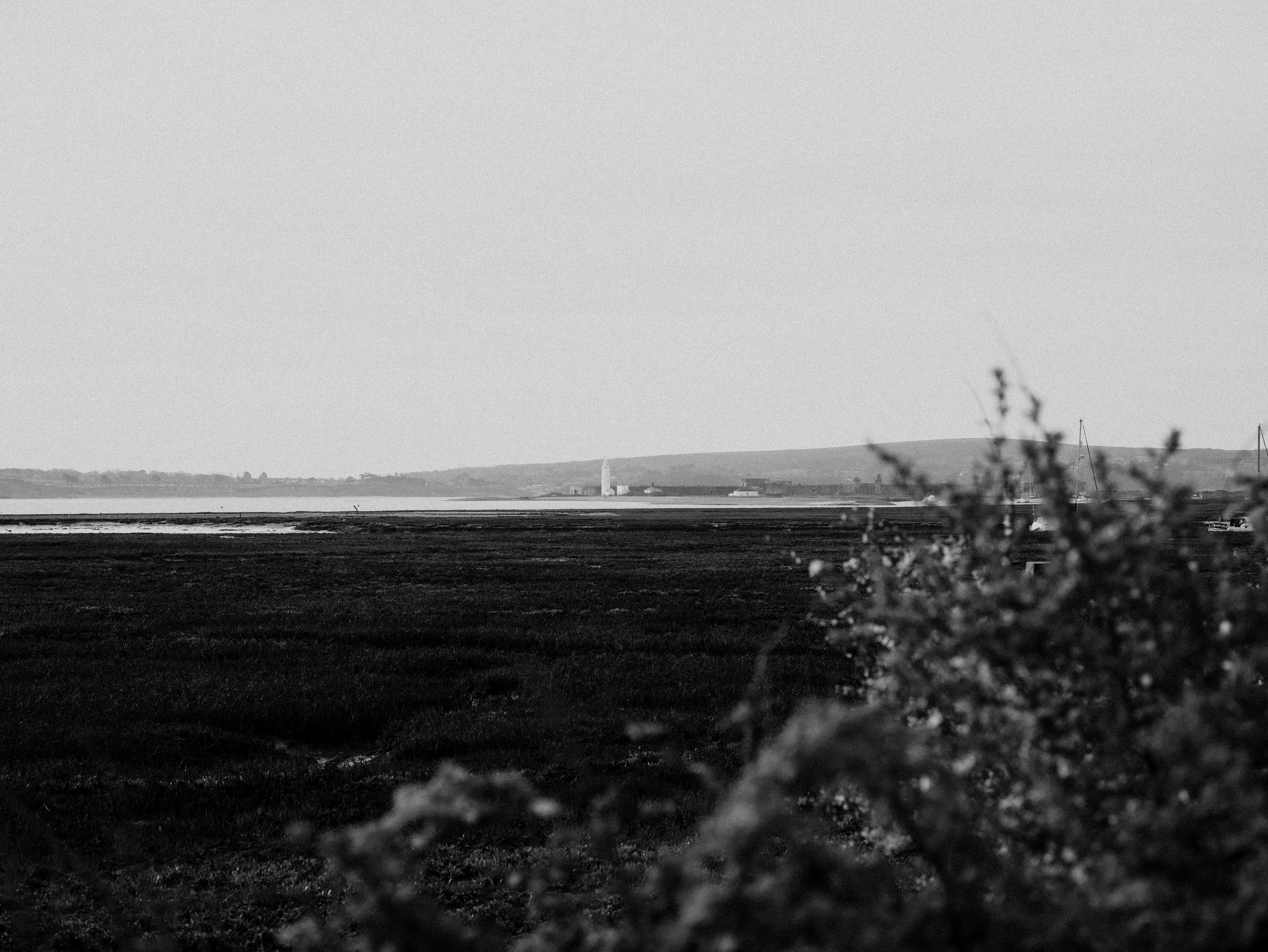 Photo by anniespratt