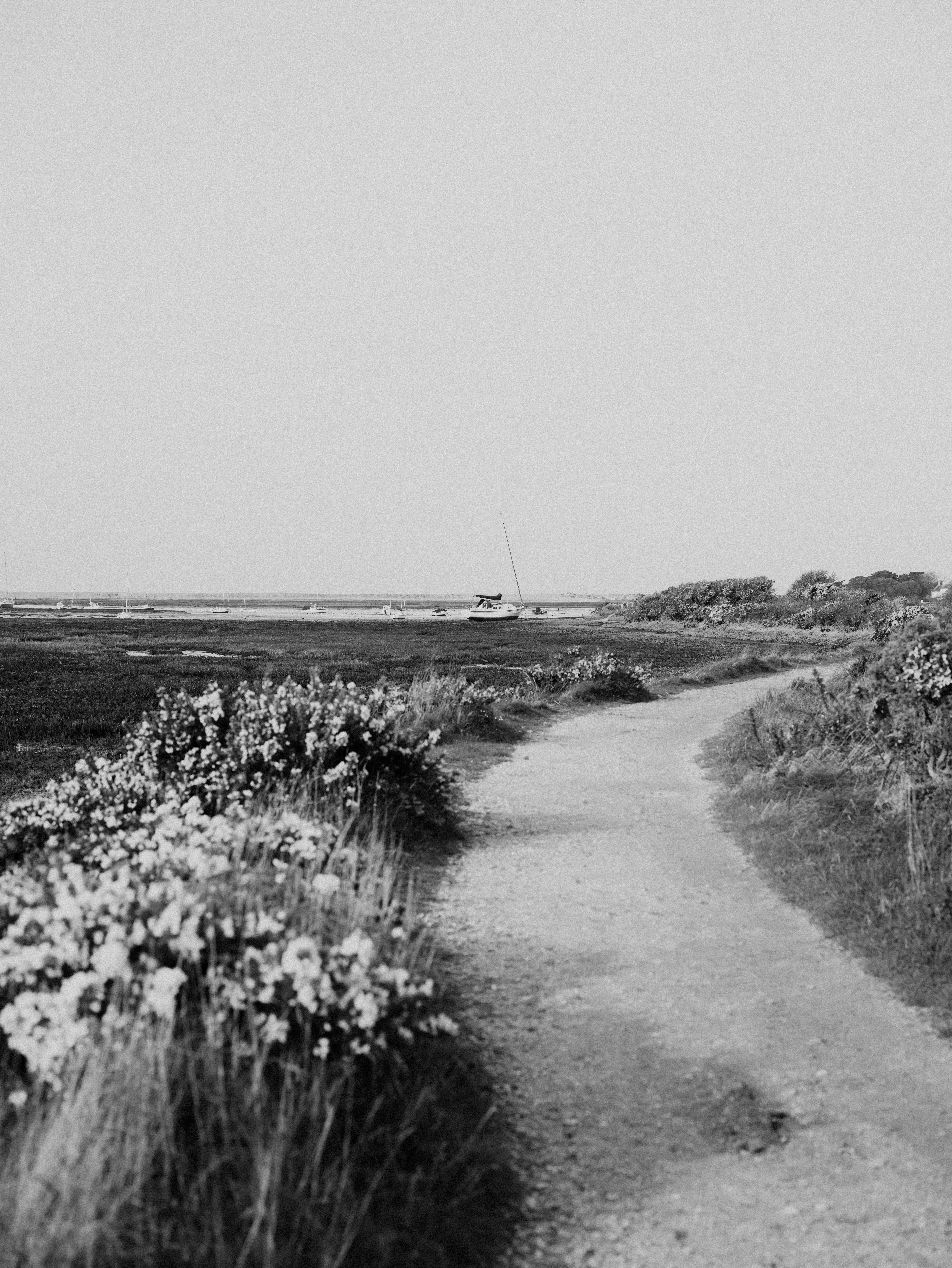 Photo by anniespratt