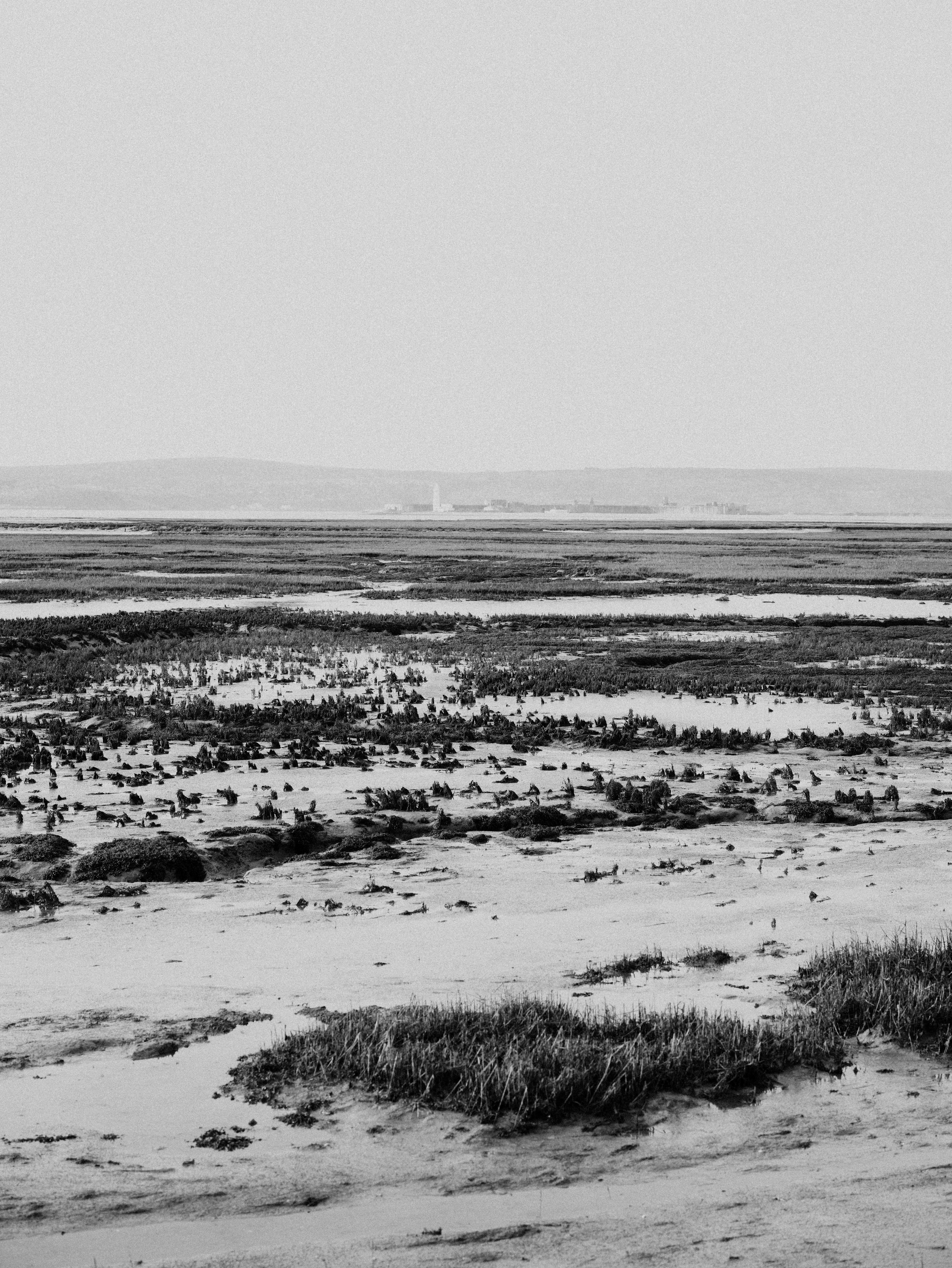 Photo by anniespratt