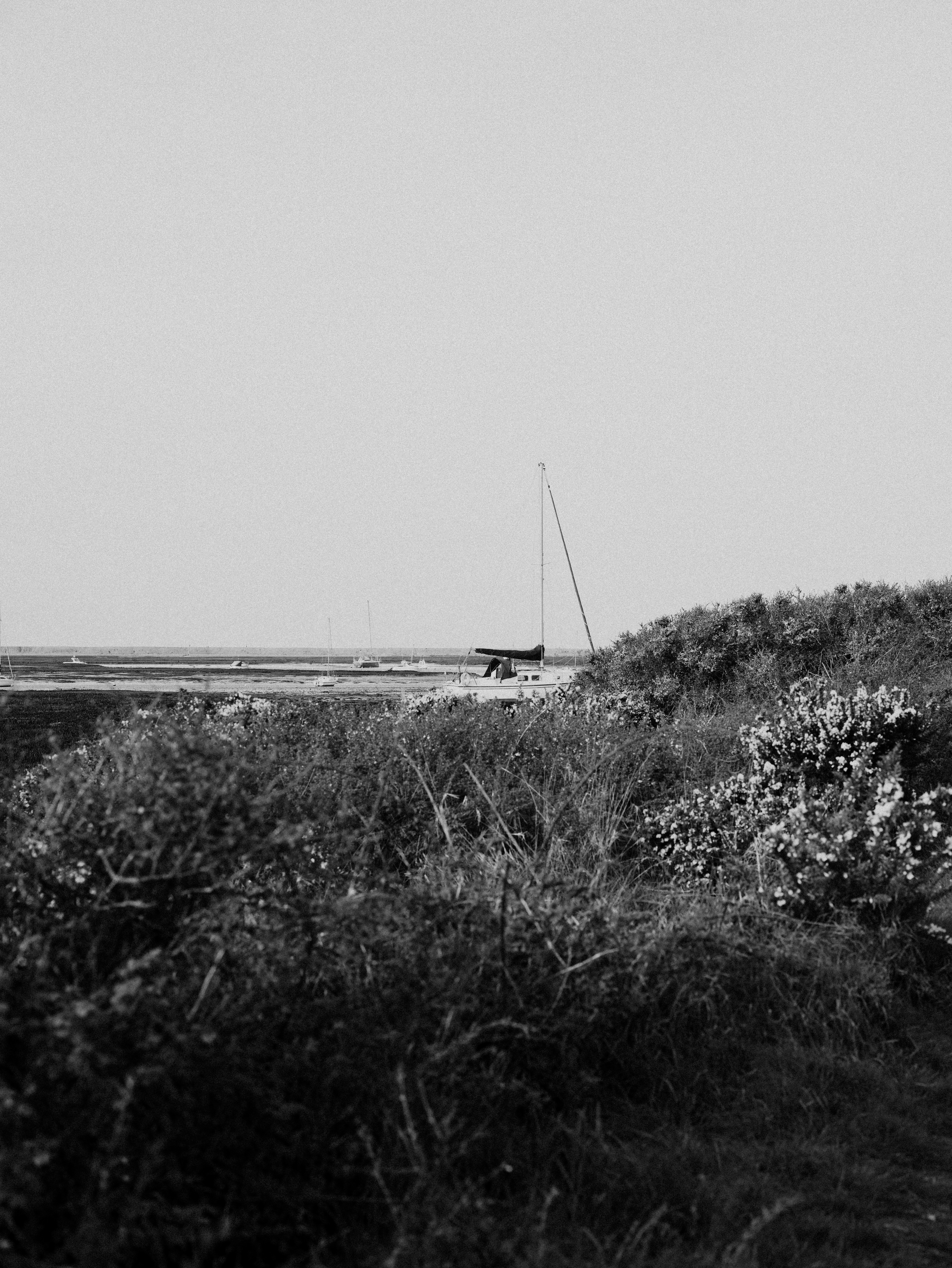 Photo by anniespratt