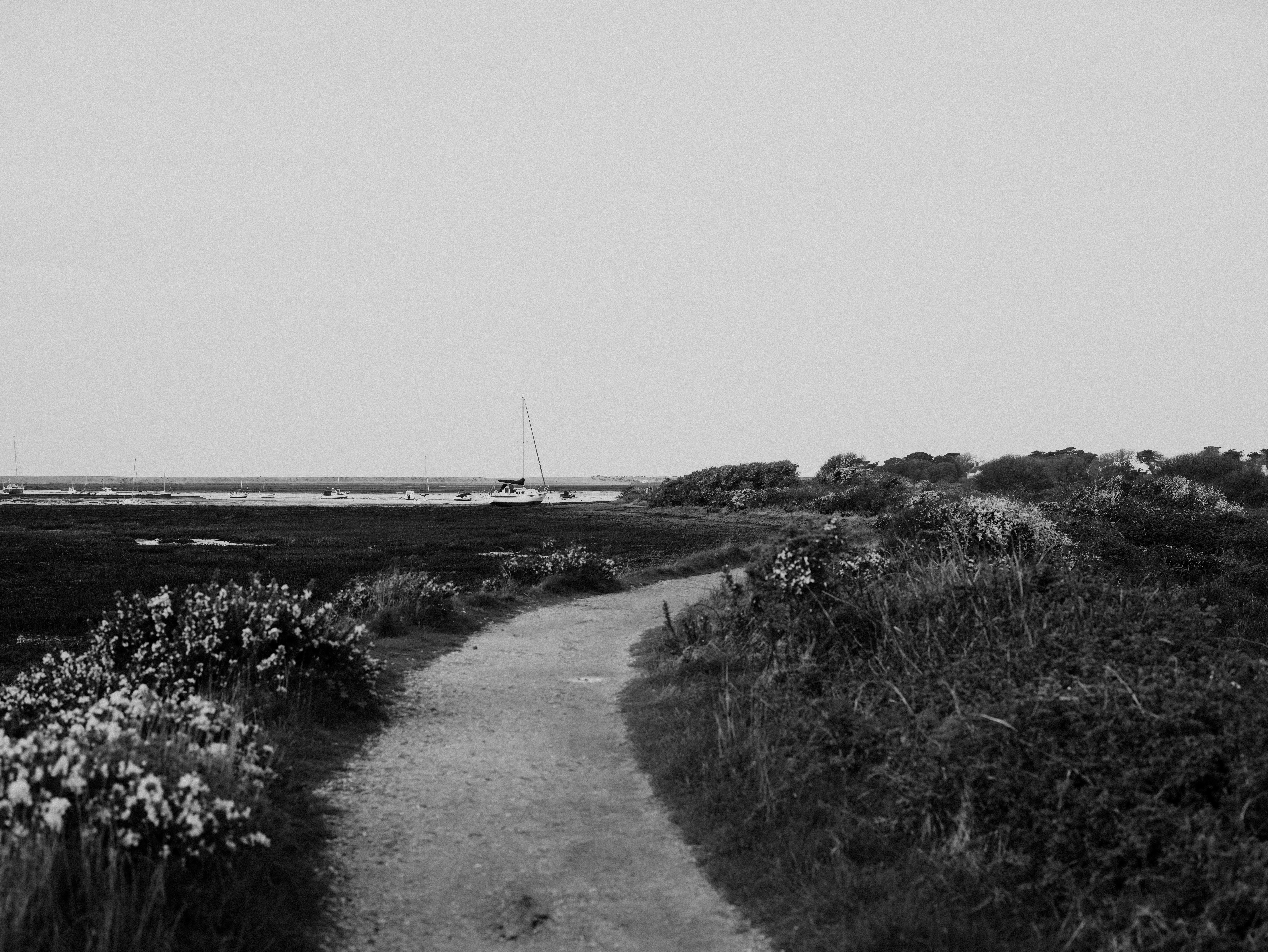 Photo by anniespratt