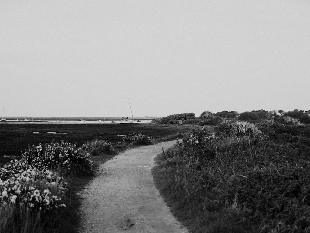 une photo en noir et blanc d’un chemin de terre