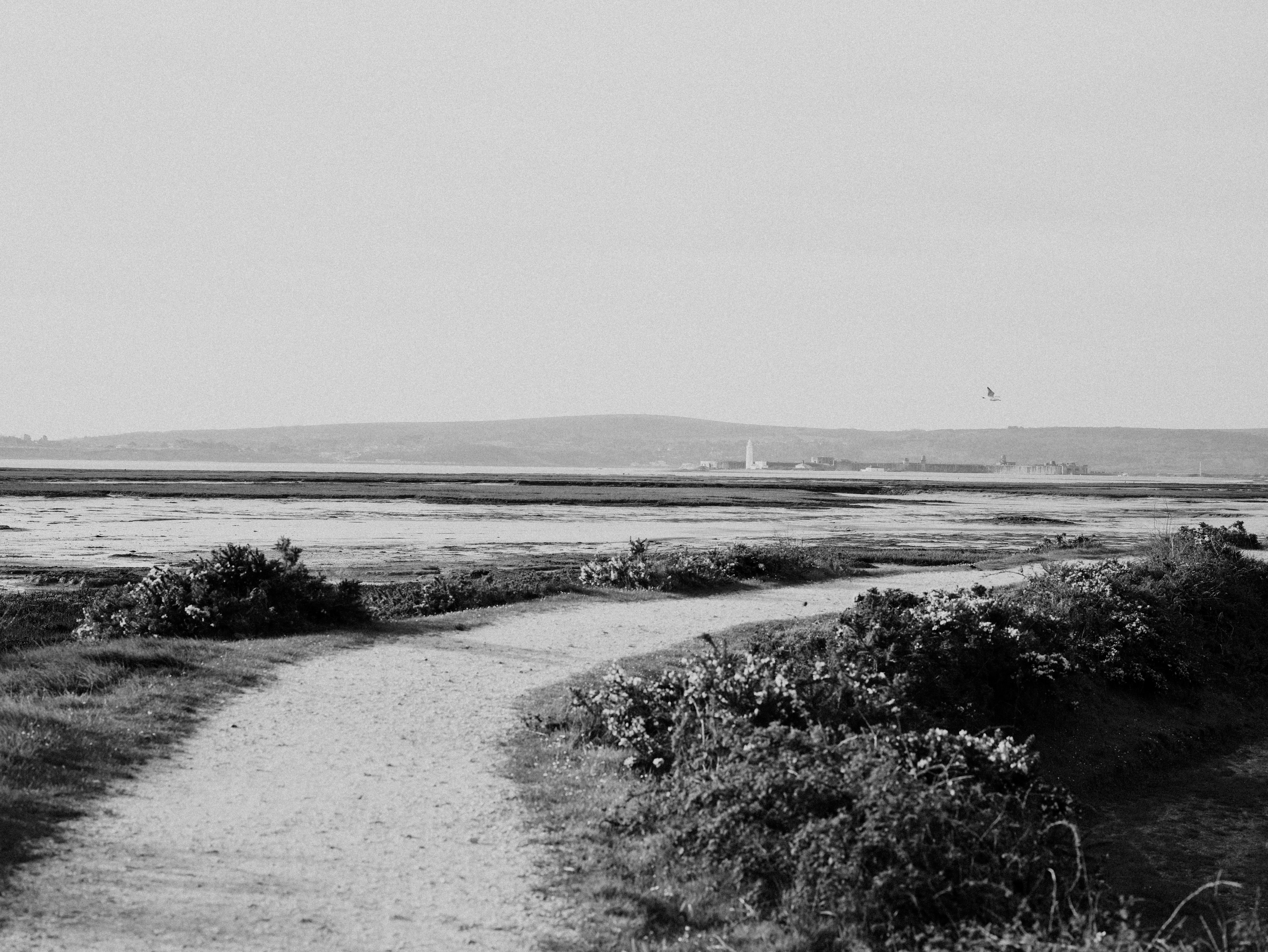 Photo by anniespratt