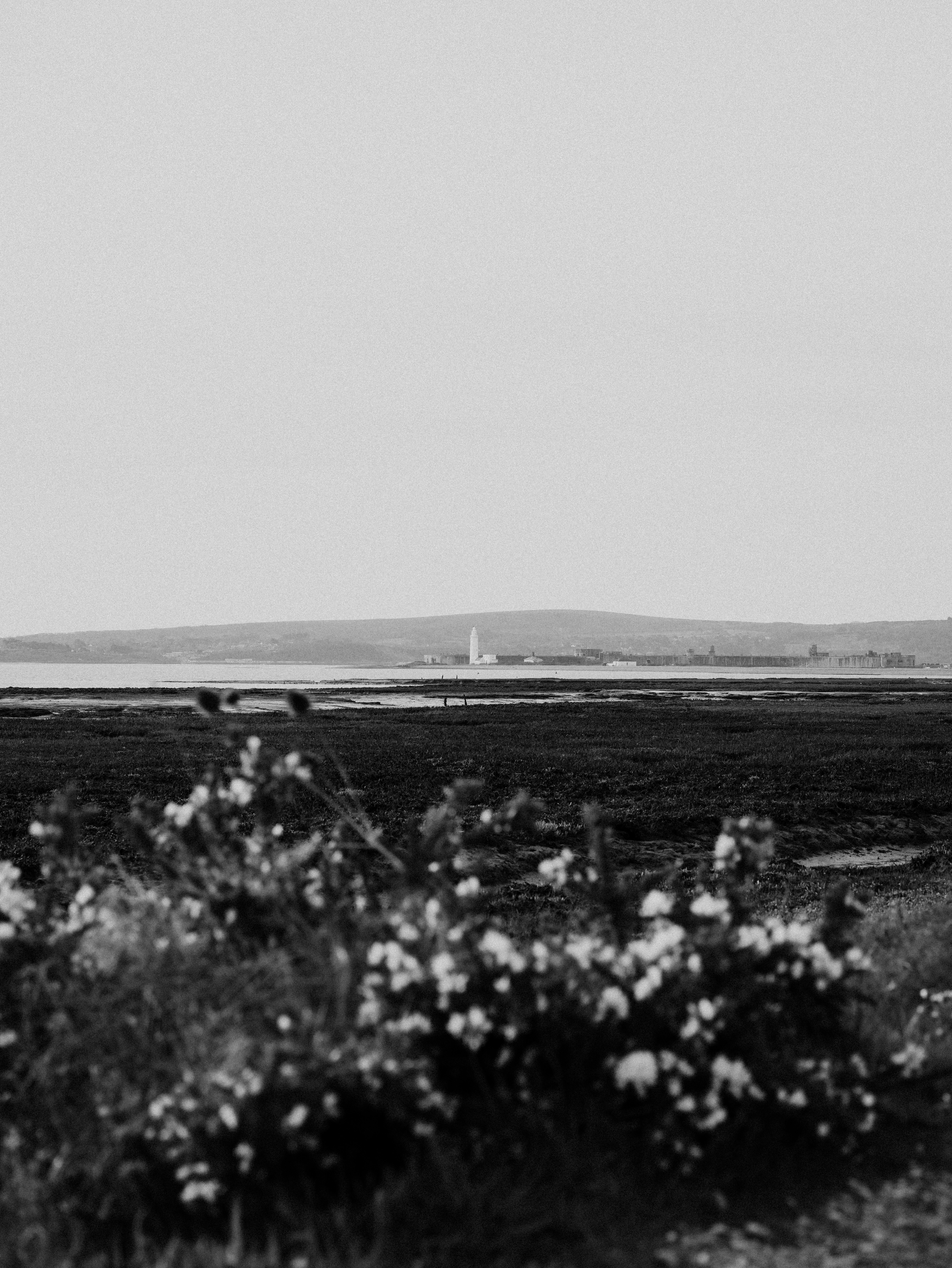 Photo by anniespratt