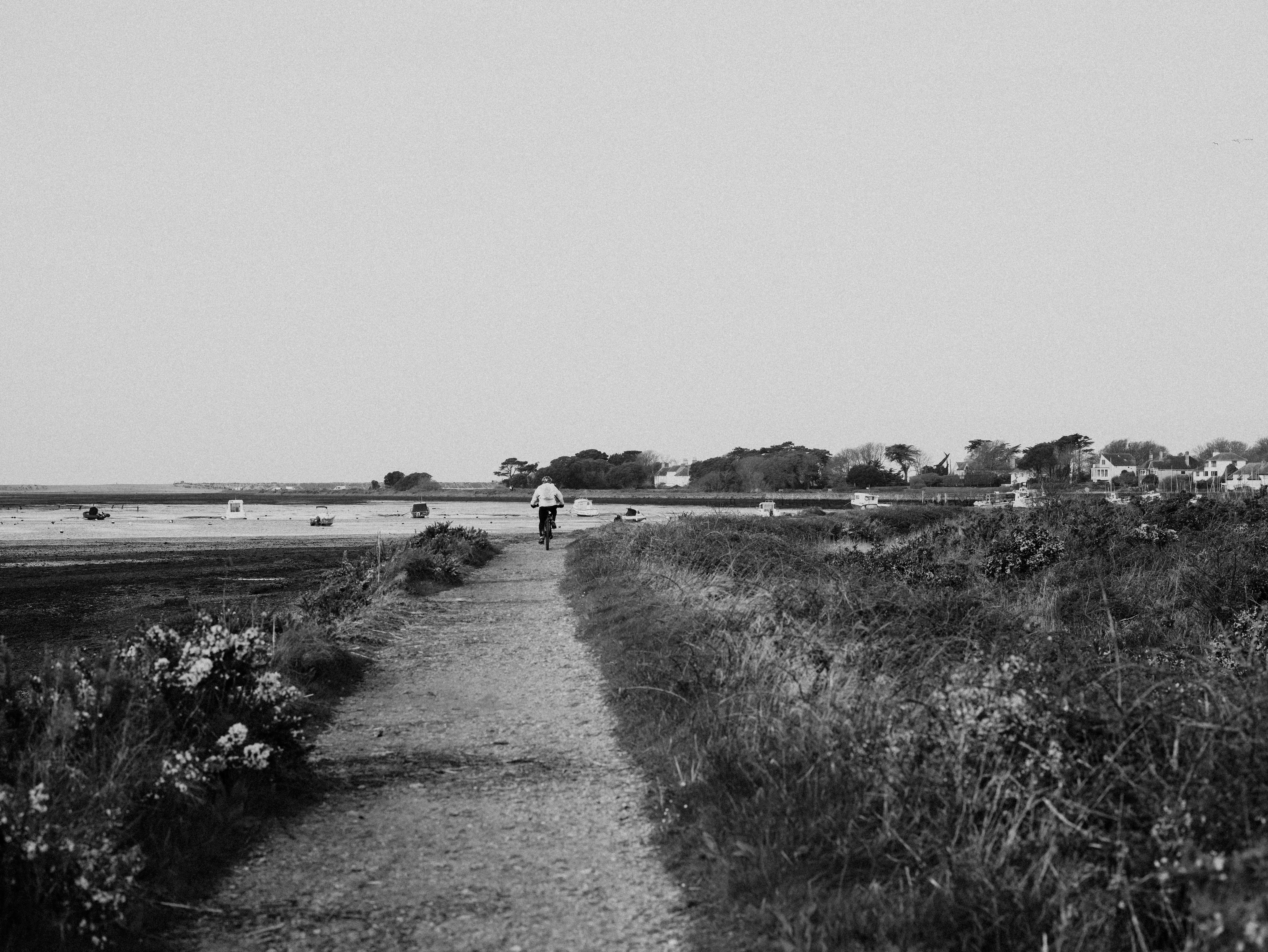 Photo by anniespratt