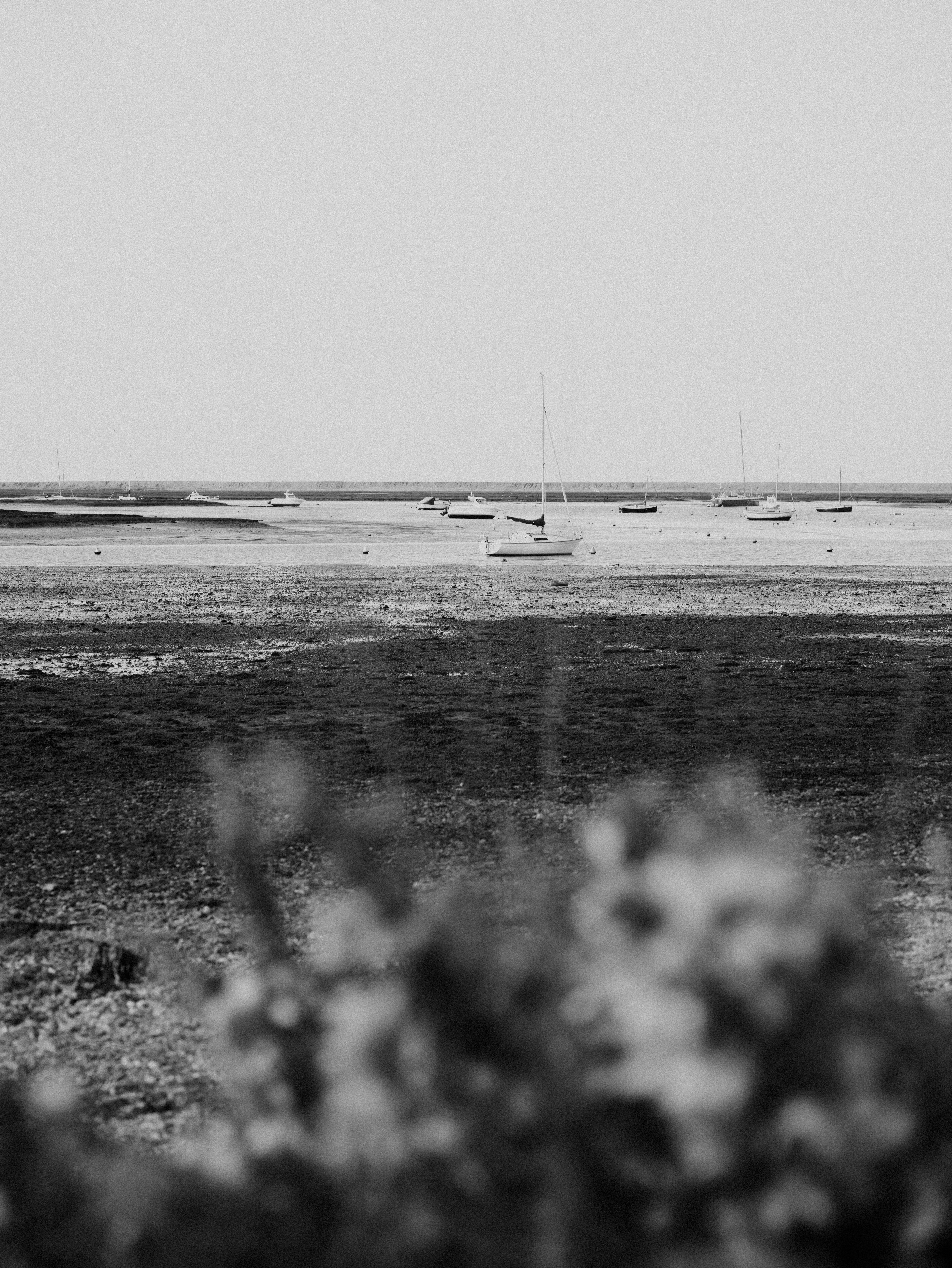 Photo by anniespratt