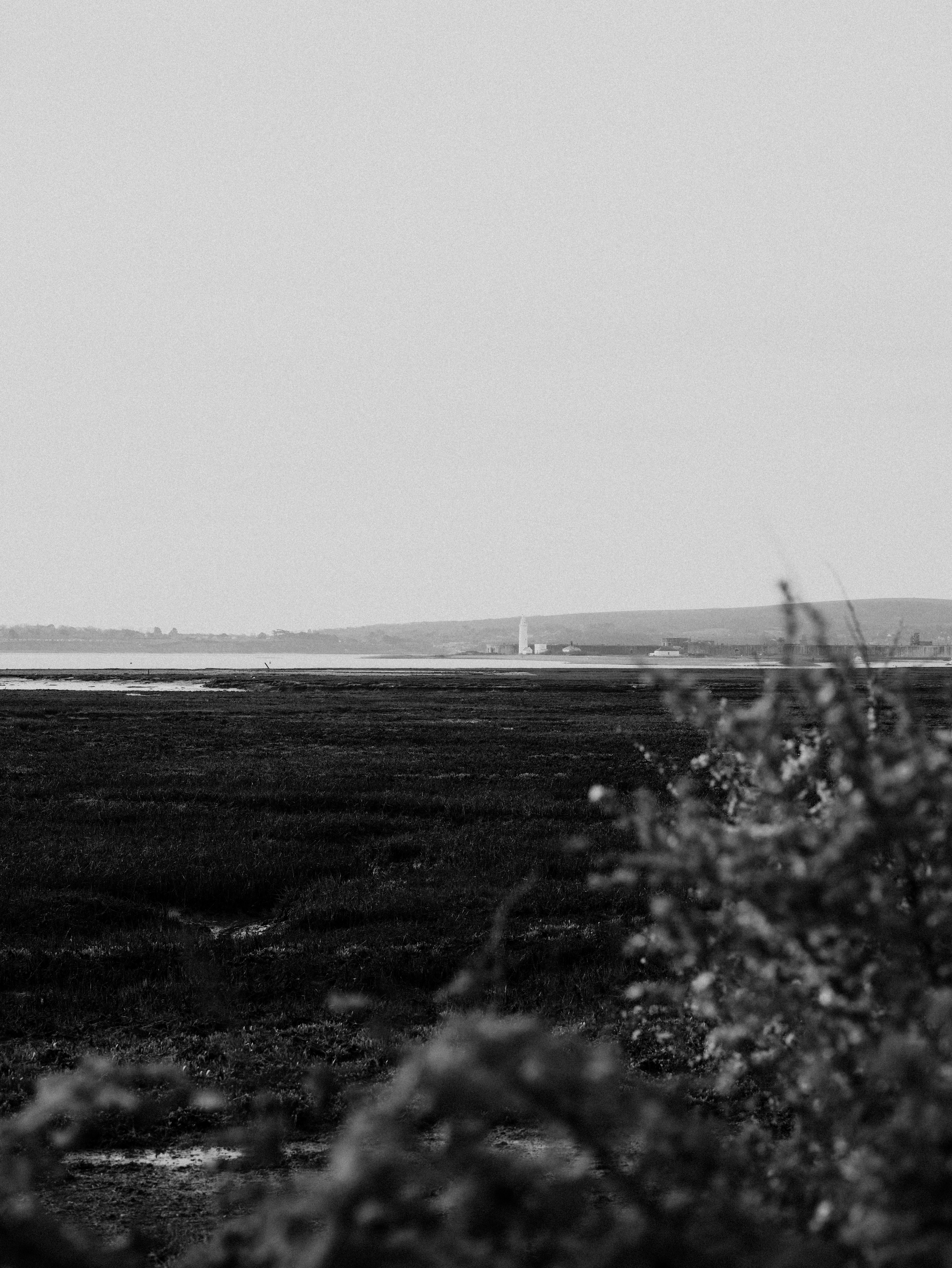 Photo by anniespratt