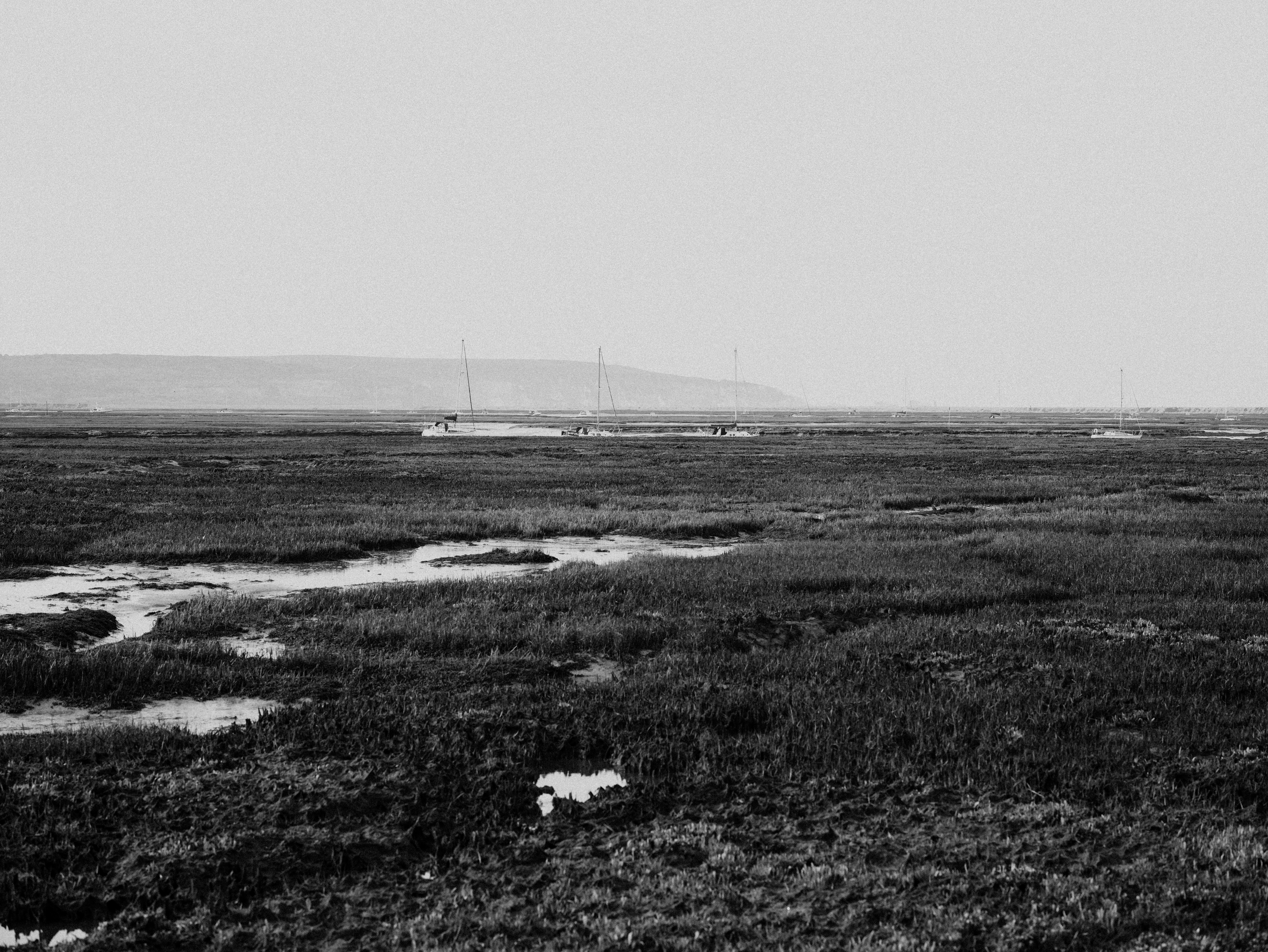 Photo by anniespratt