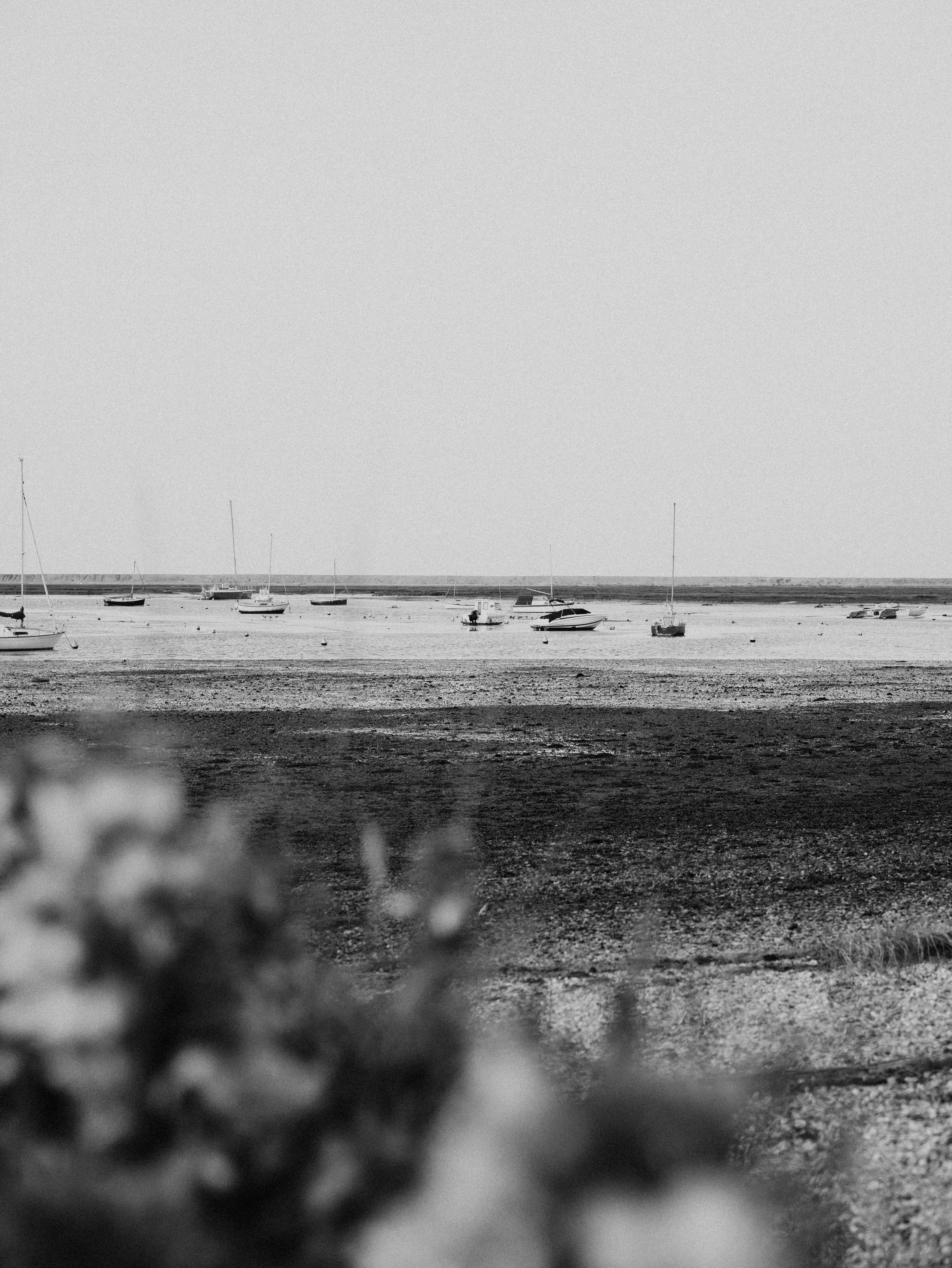 Photo by anniespratt