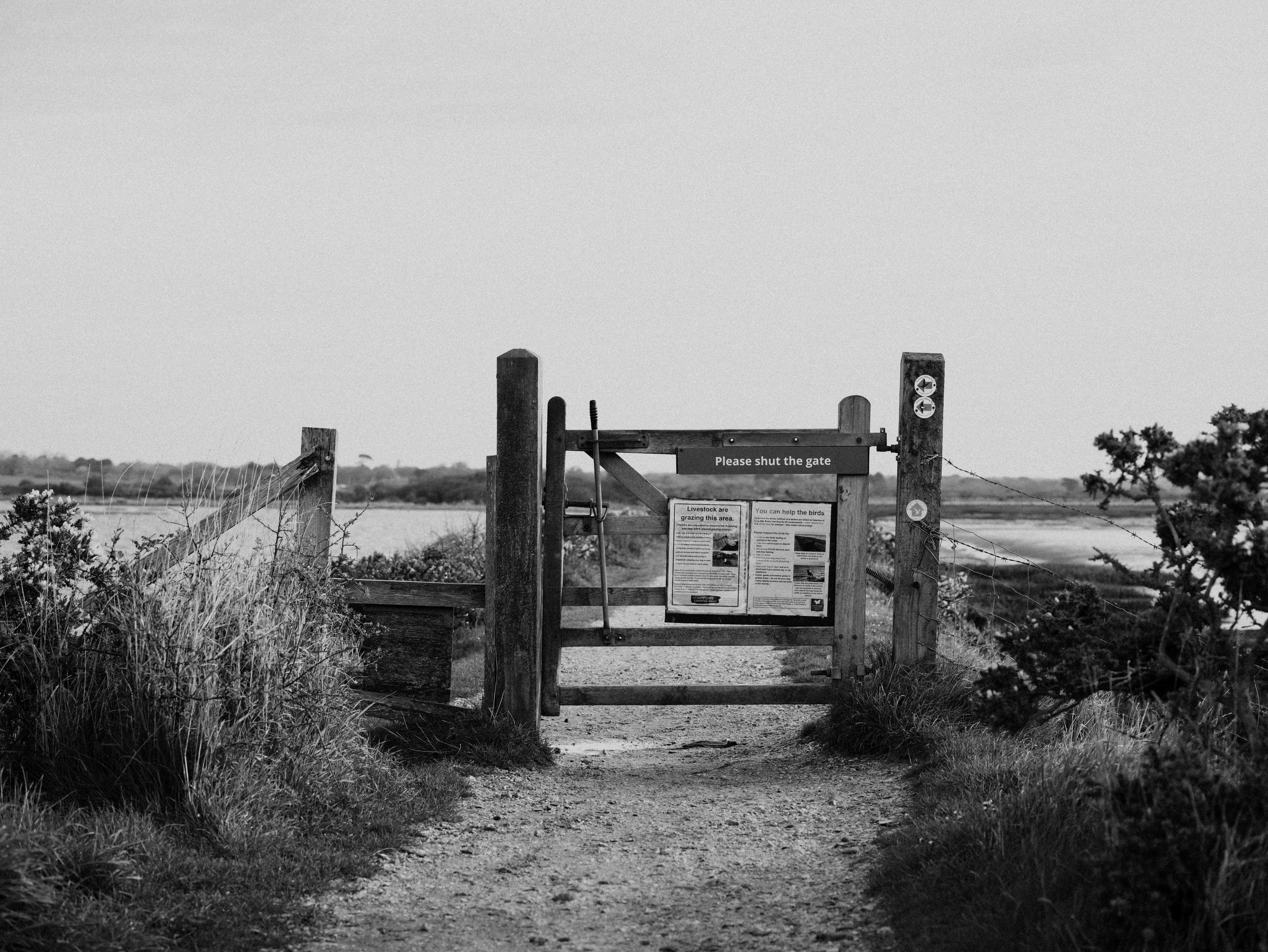 Photo by anniespratt