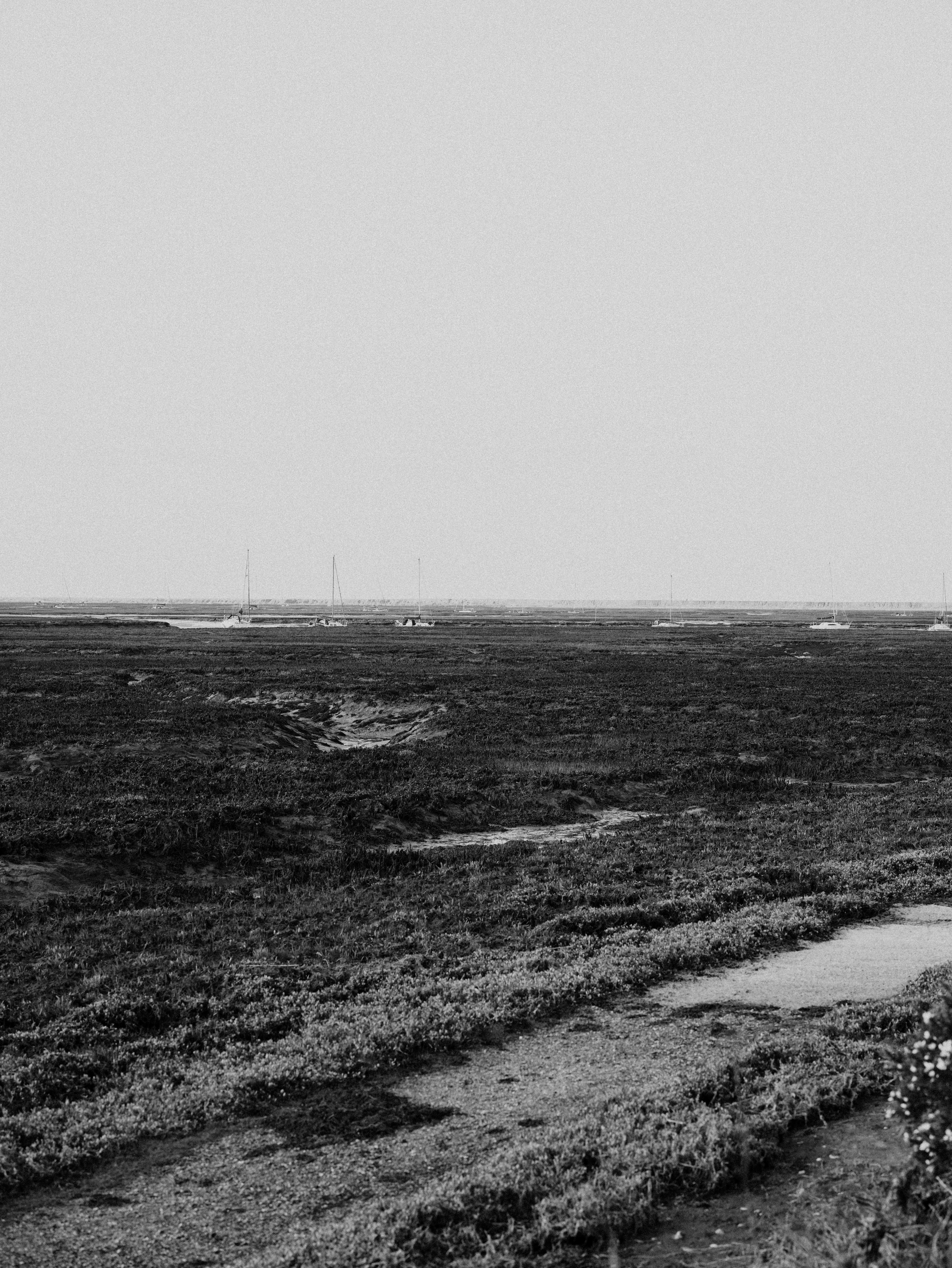 Photo by anniespratt