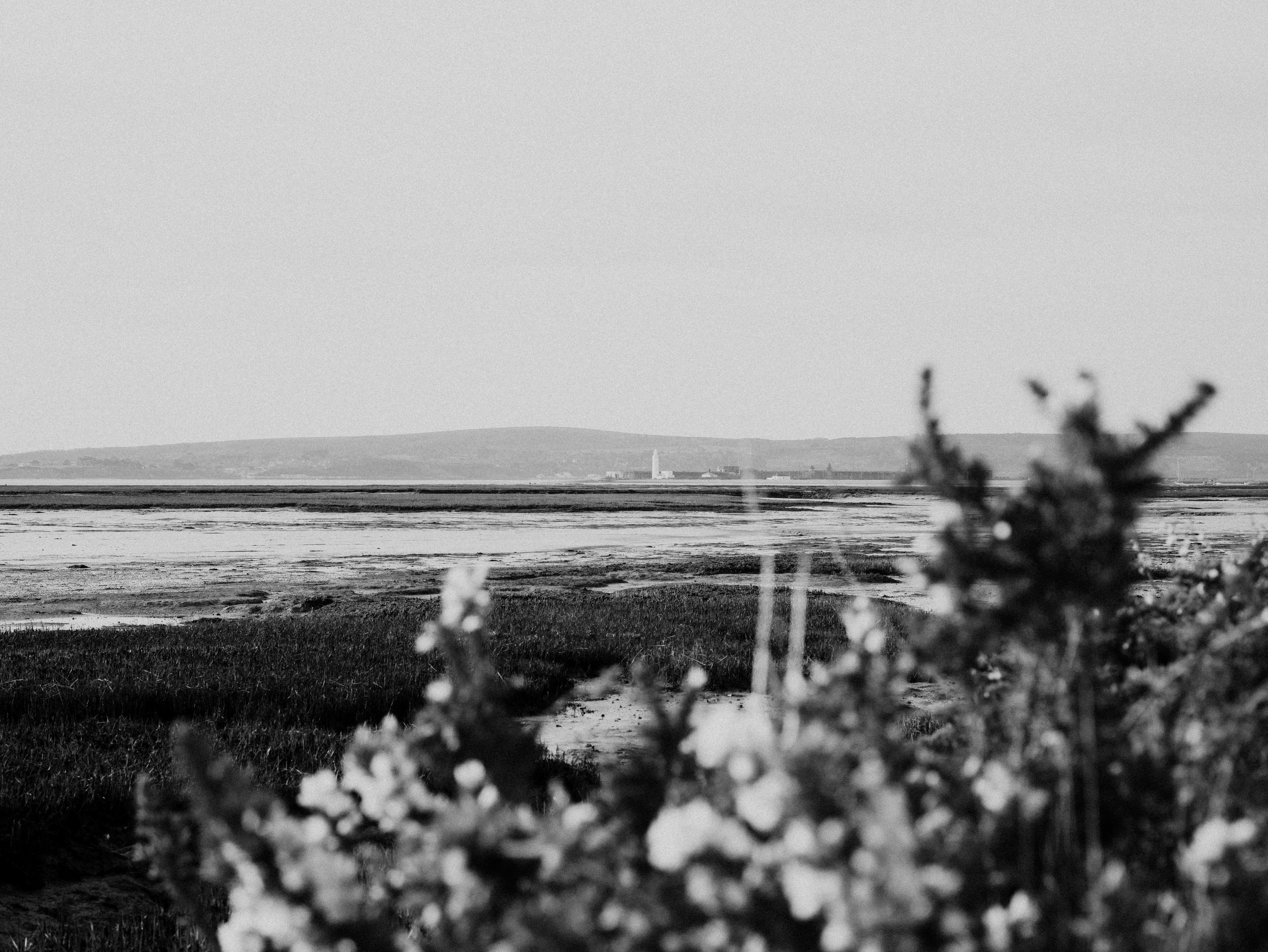 Photo by anniespratt