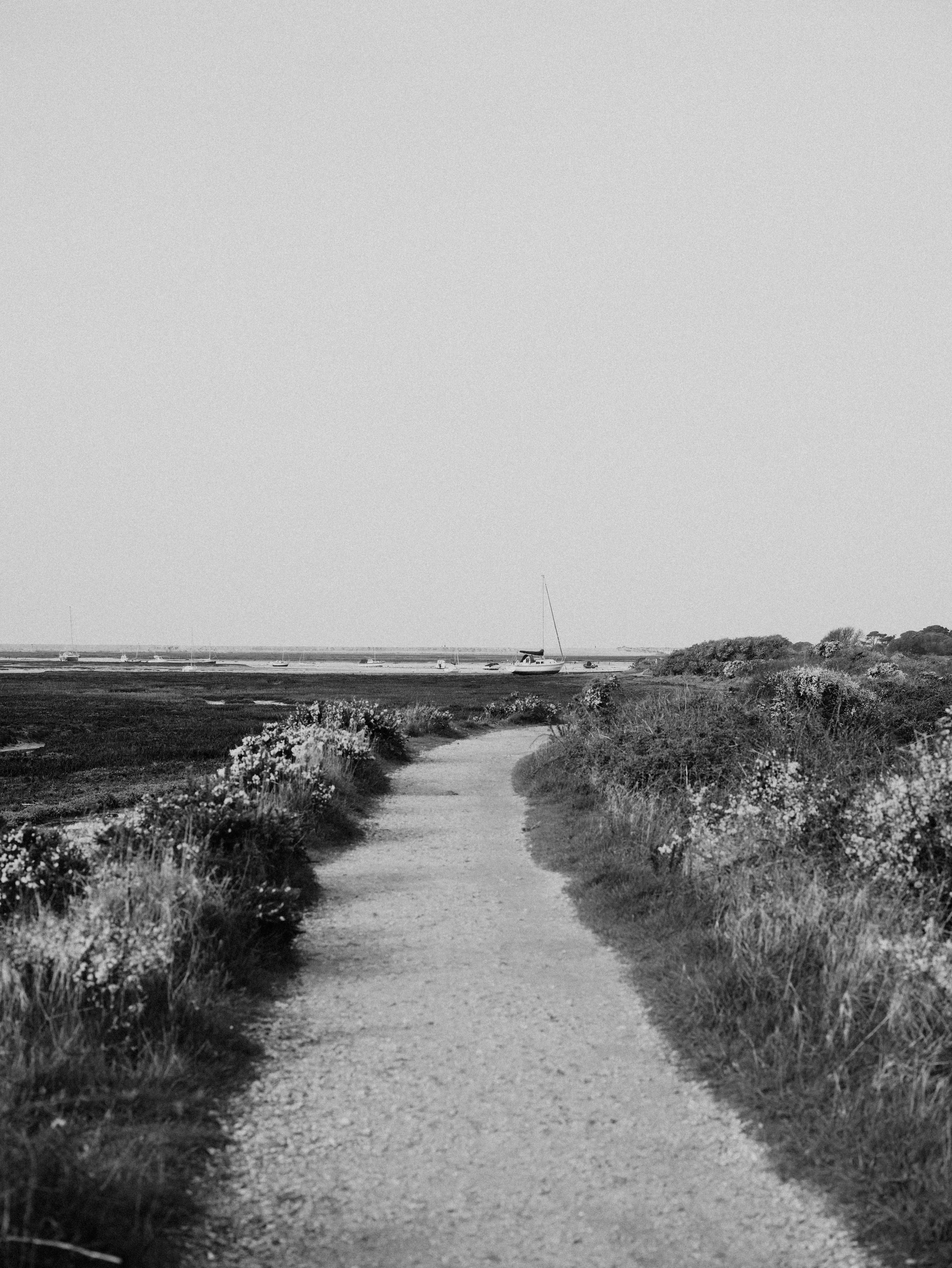 Photo by anniespratt