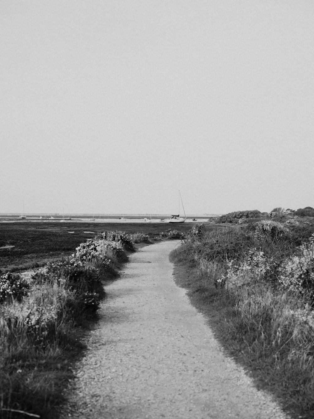 une photo en noir et blanc d’un chemin de terre