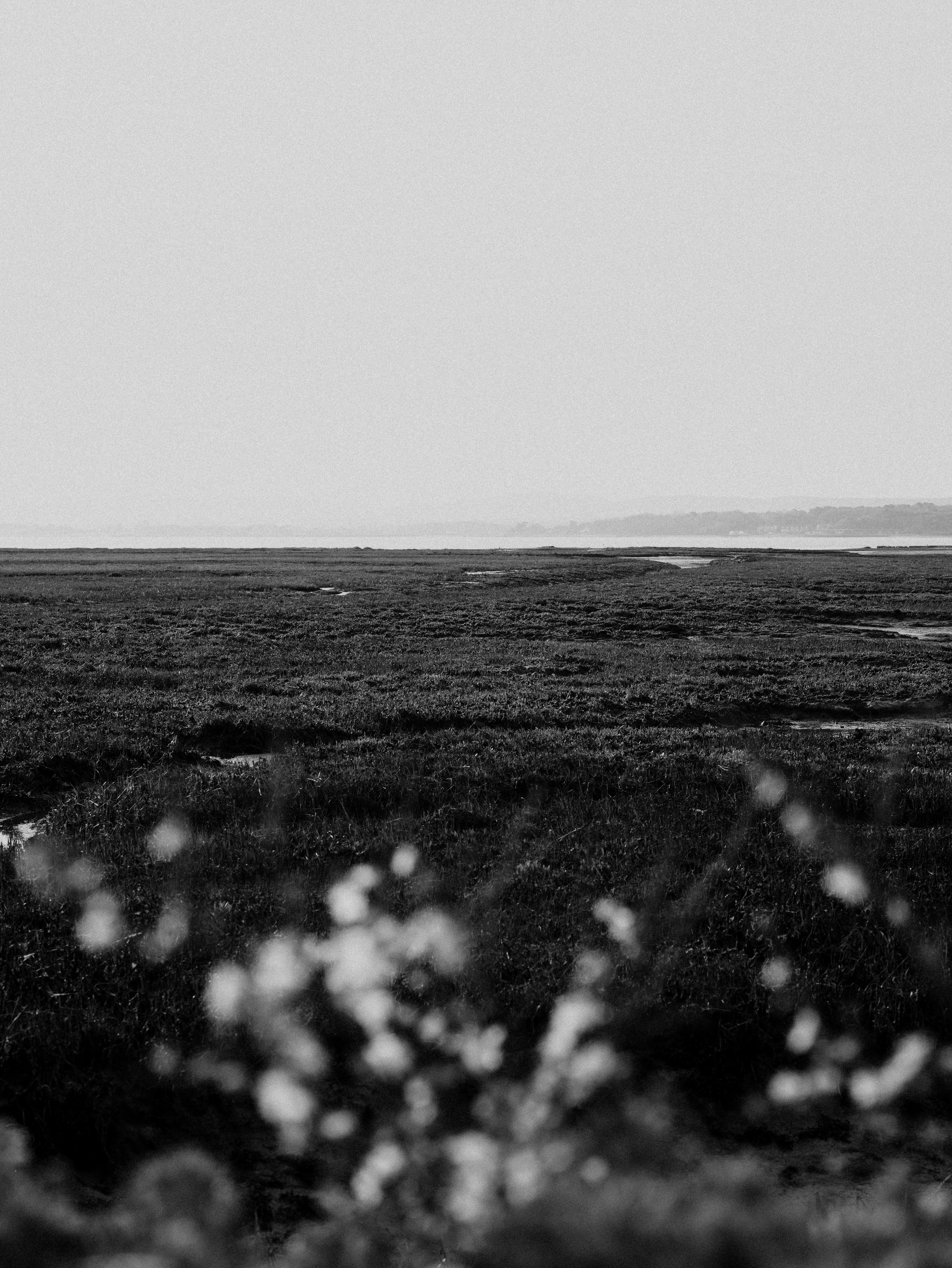 Photo by anniespratt