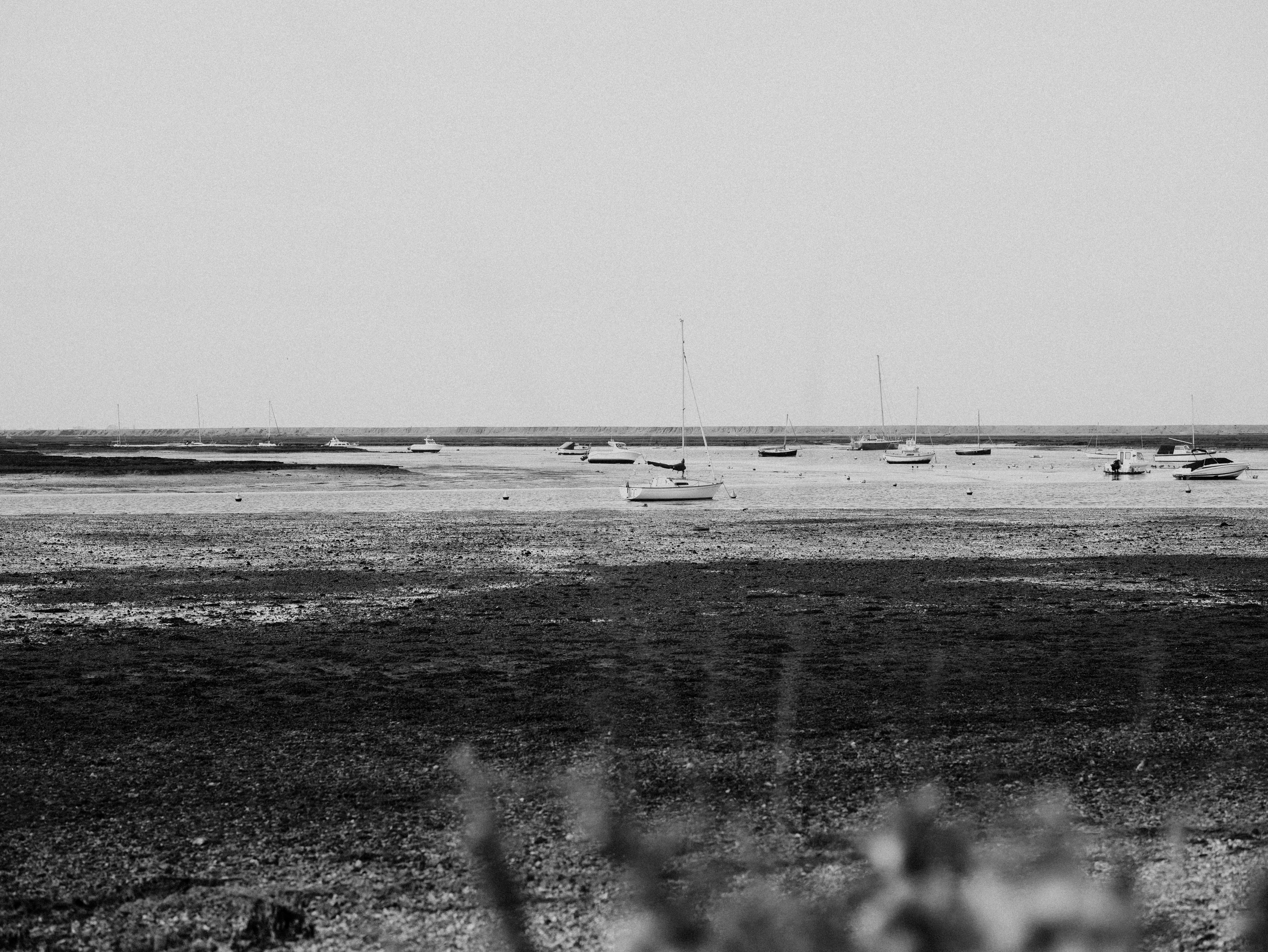 Photo by anniespratt