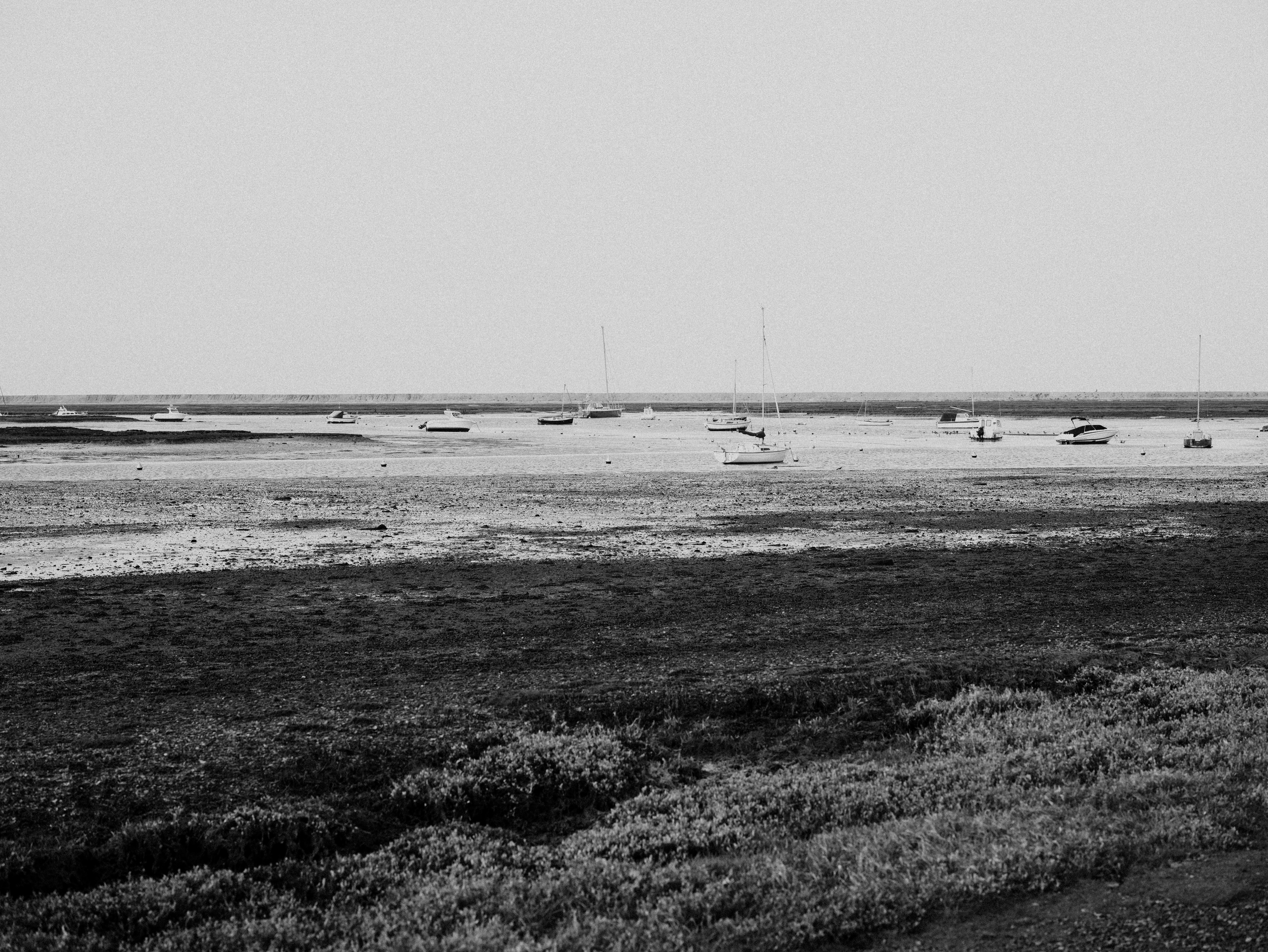 Photo by anniespratt