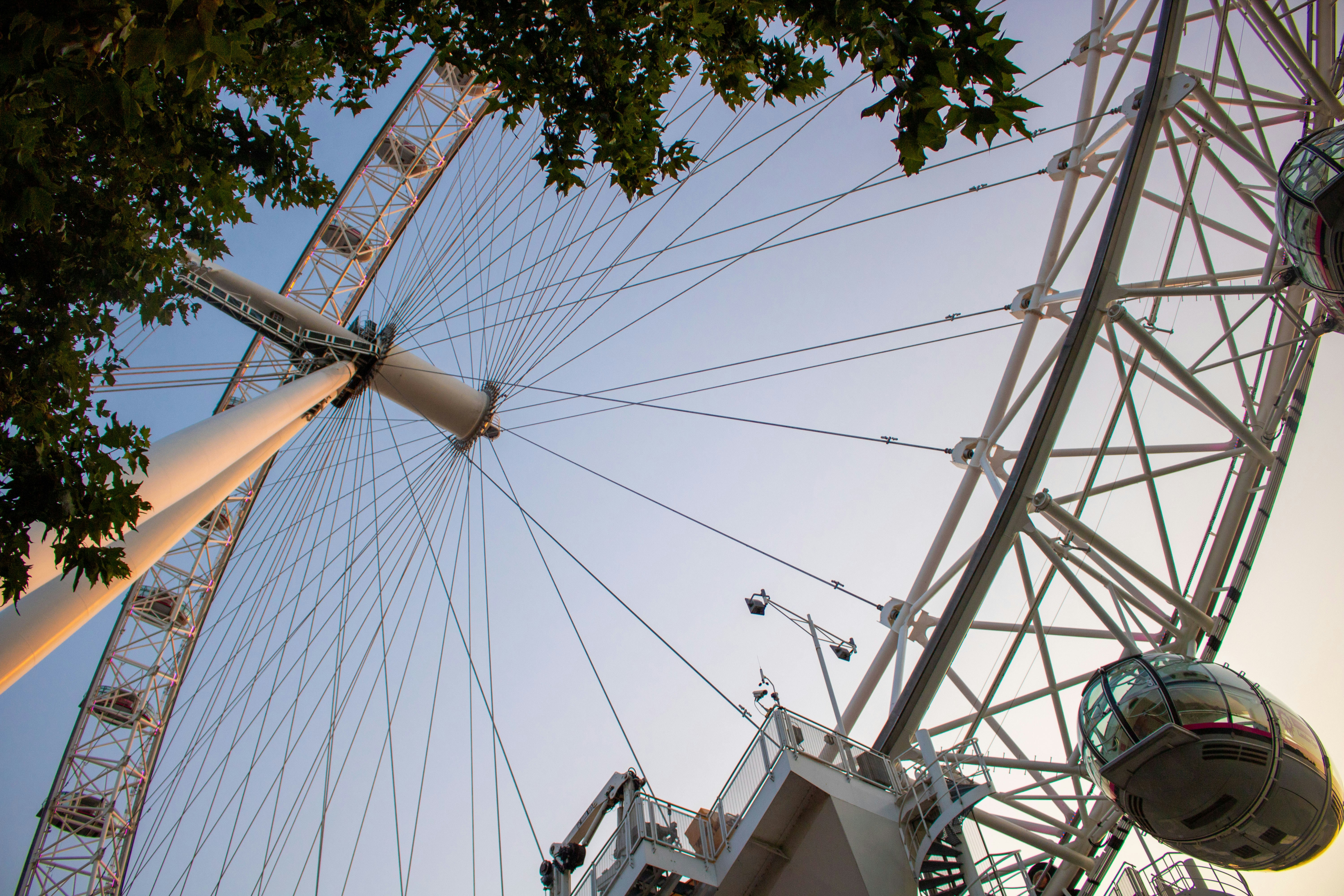 a large ferris wheel sitting next to a tree