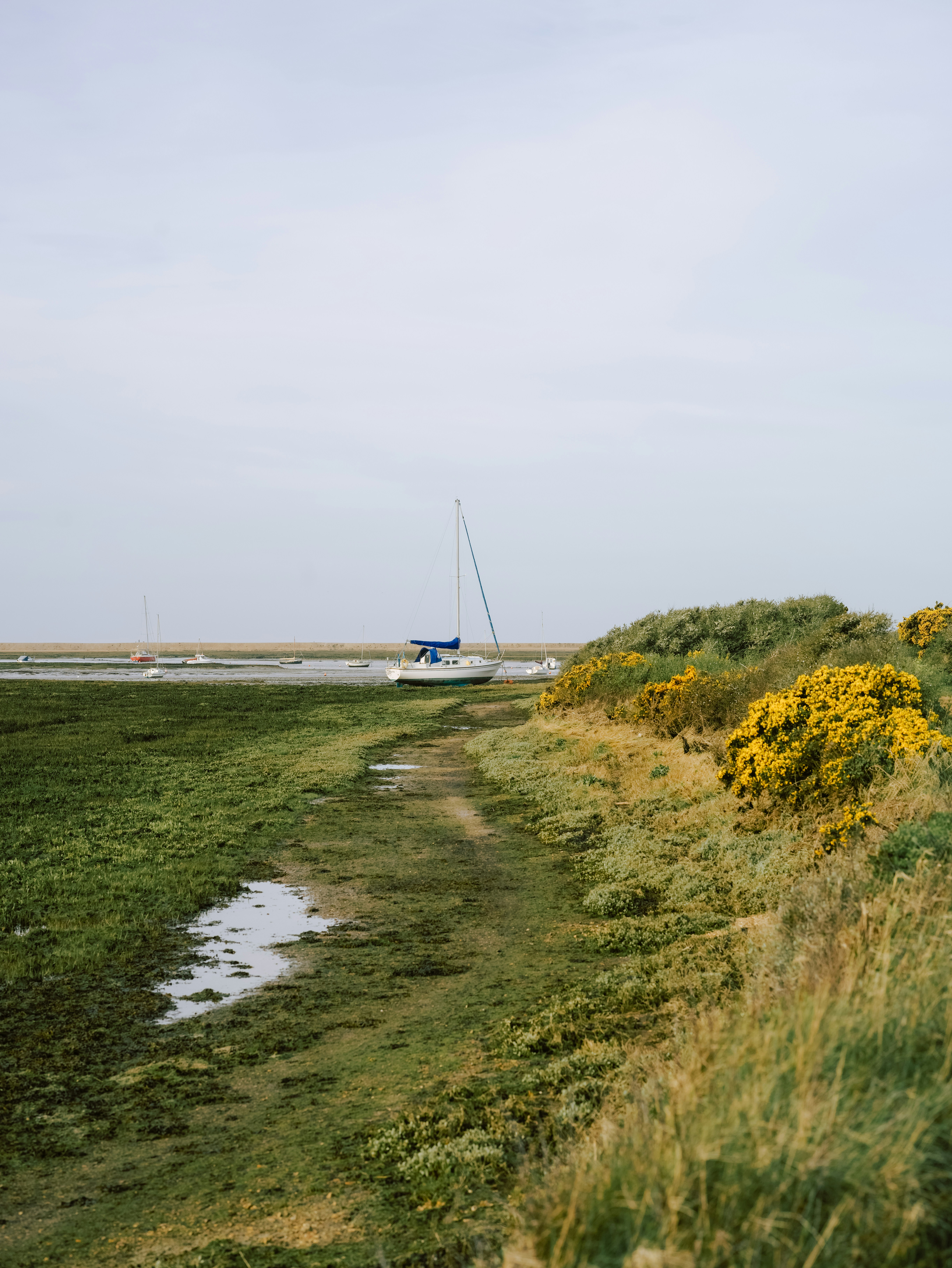 a grassy field with a boat in the distance
