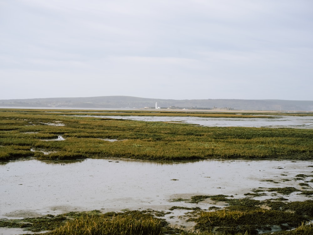 a large body of water surrounded by grass