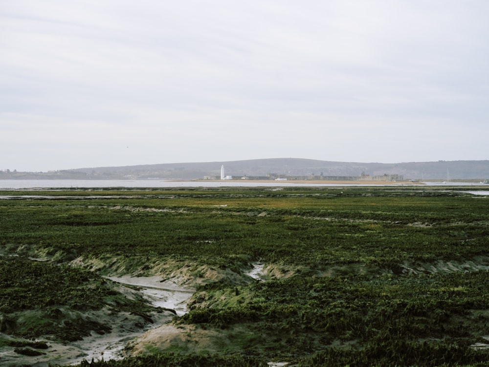 a grassy field with a lighthouse in the distance