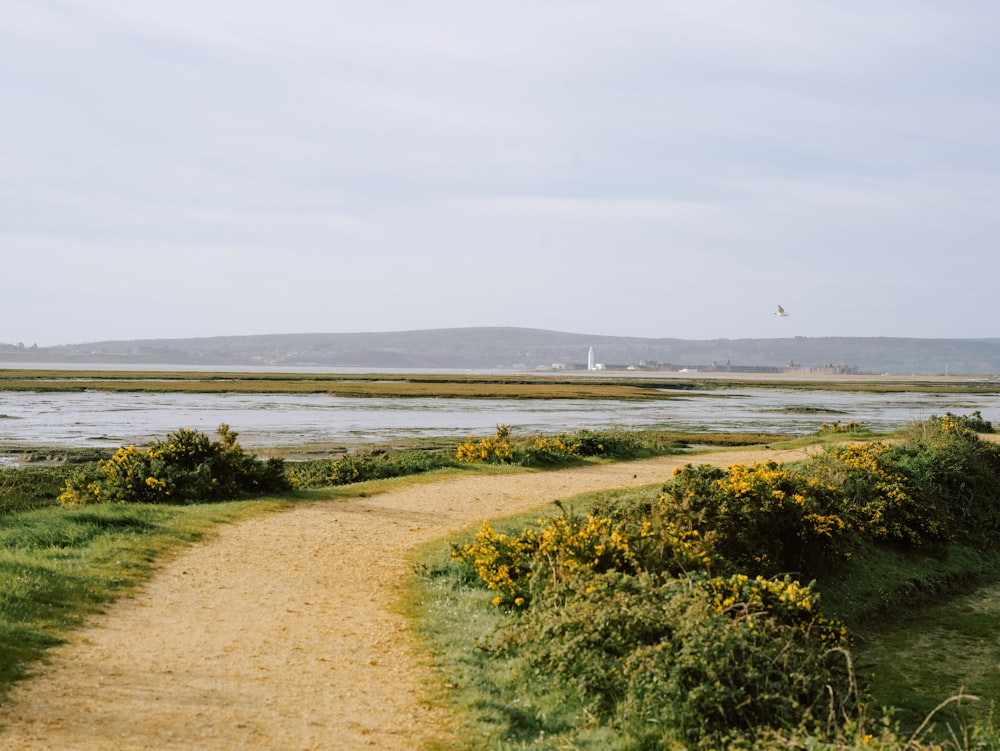 a dirt path leading to a body of water