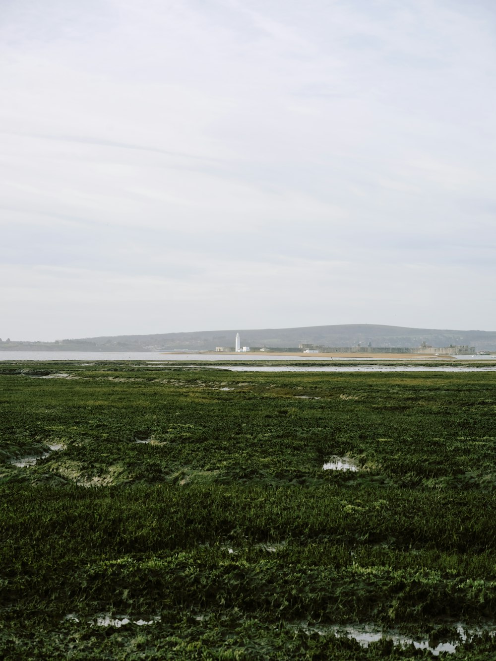 a grassy field with a lighthouse in the distance