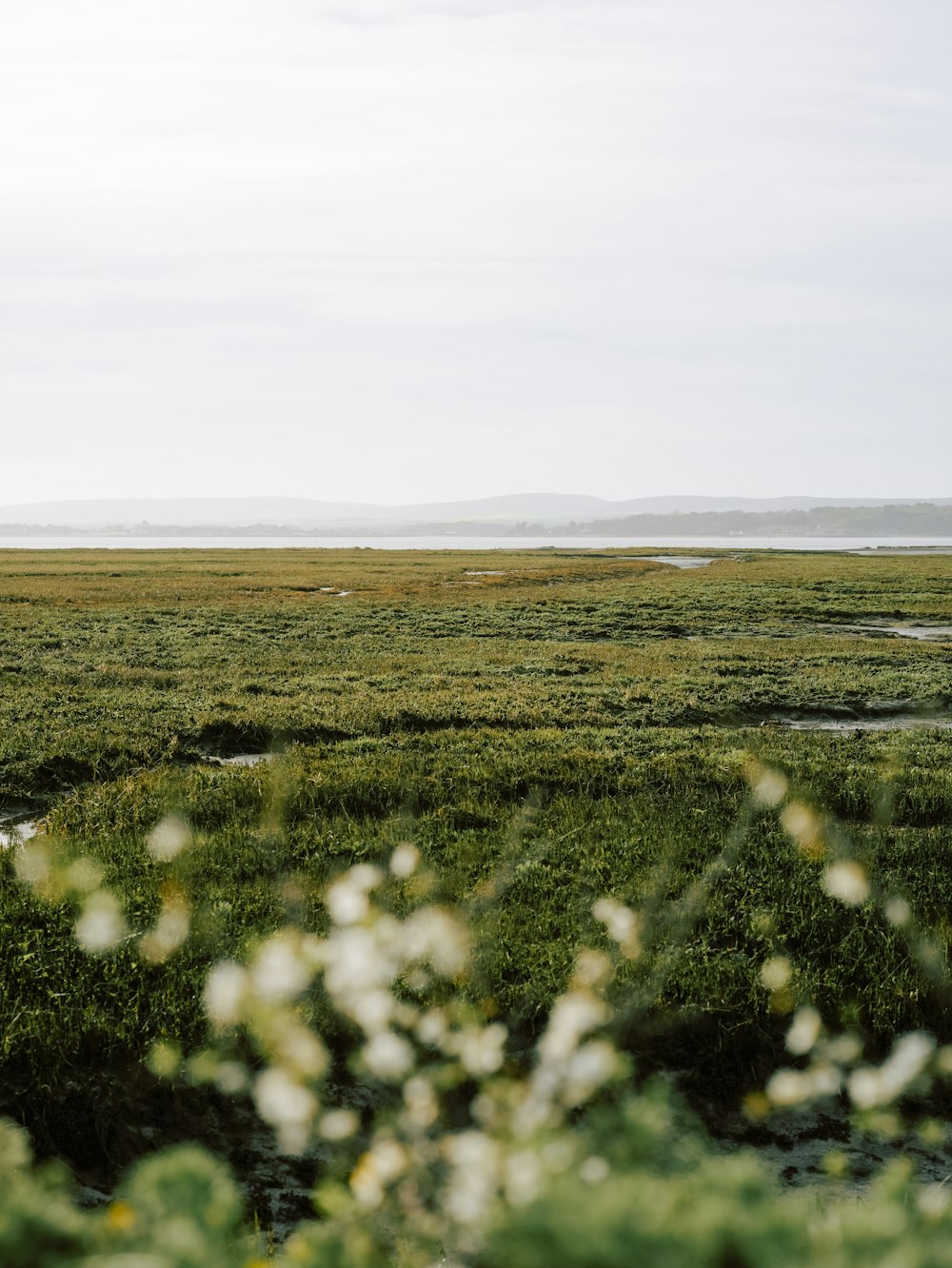 a grassy field with a river running through it