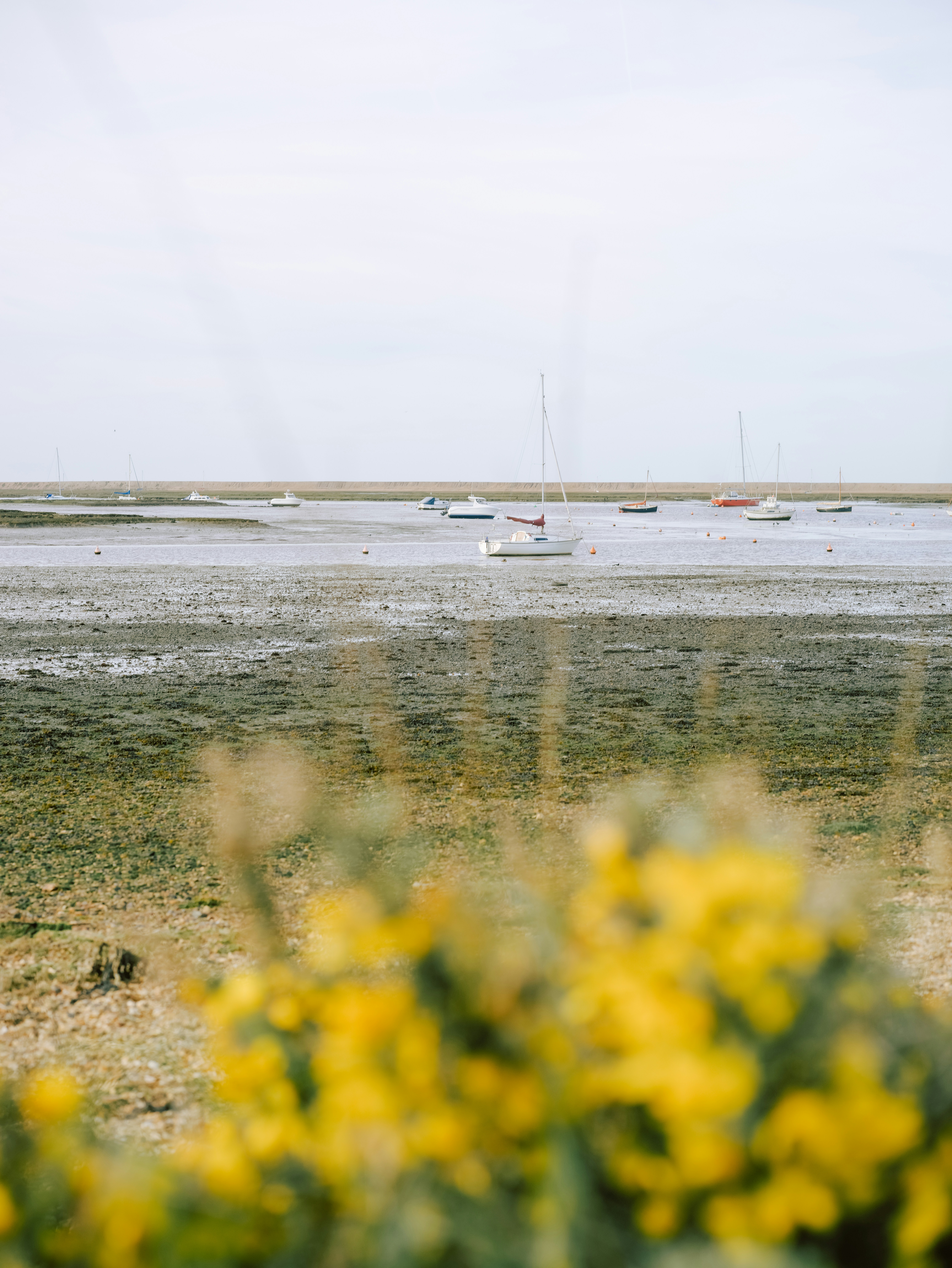 Photo by anniespratt